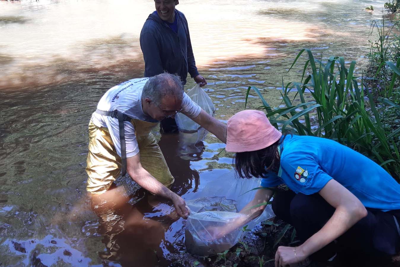 A Sanepar, o Grupo Amigos dos Rios e a Secretaria Municipal de Meio Ambiente de Cascavel farão o repovoamento dos rios Cascavel e Saltinho nesta quarta-feira (24), Dia do Rio. As ações comemorativas preveem o lançamento de sete mil peixes das espécies jundiá e lambari, nativas da bacia do Rio Iguaçu, da qual fazem parte os rios que abastecem Cascavel.  - Cascavel, 22/11/2021 - Foto: Sanepar