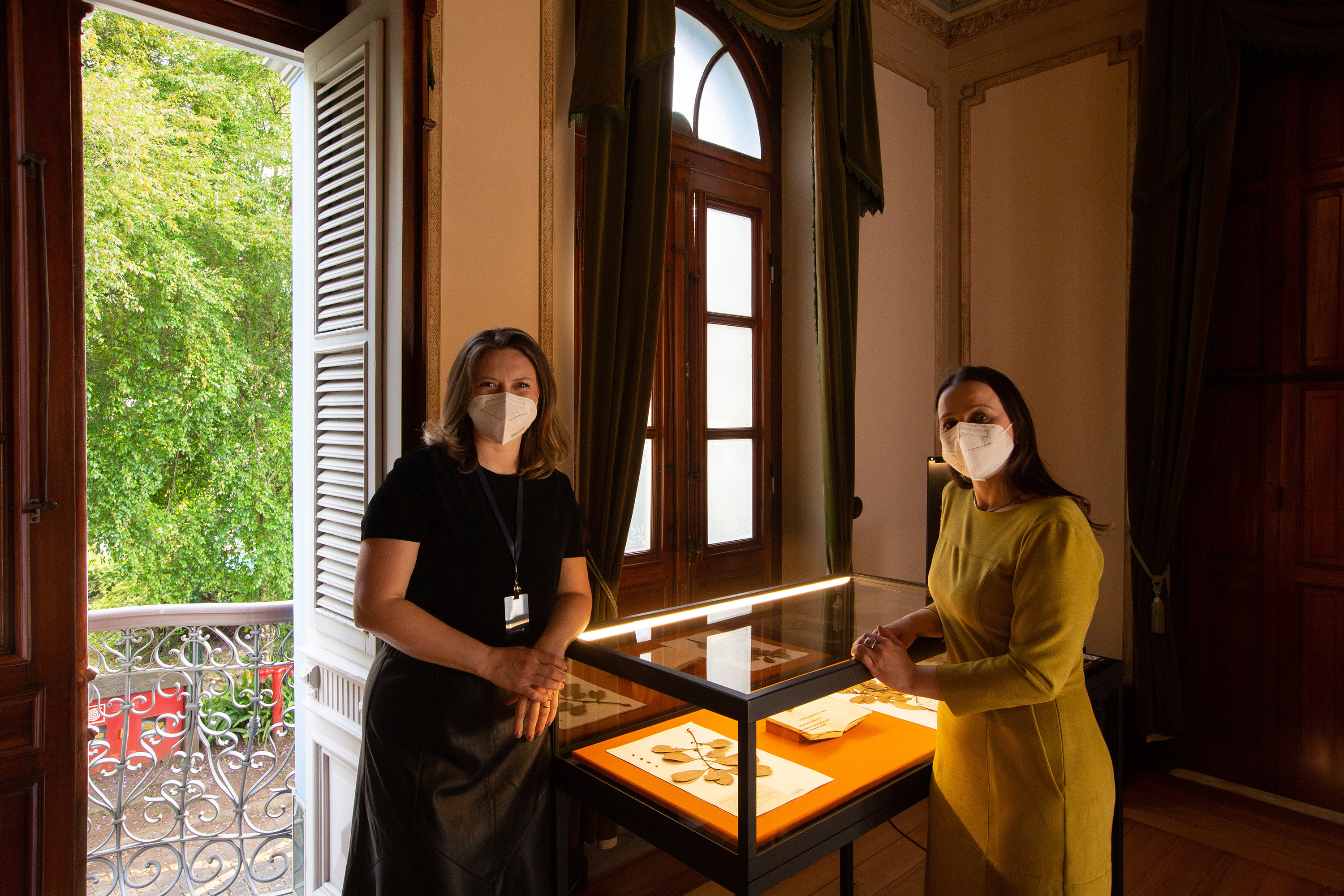 Legado da erva-mate inspira projeto e parcerias entre museus