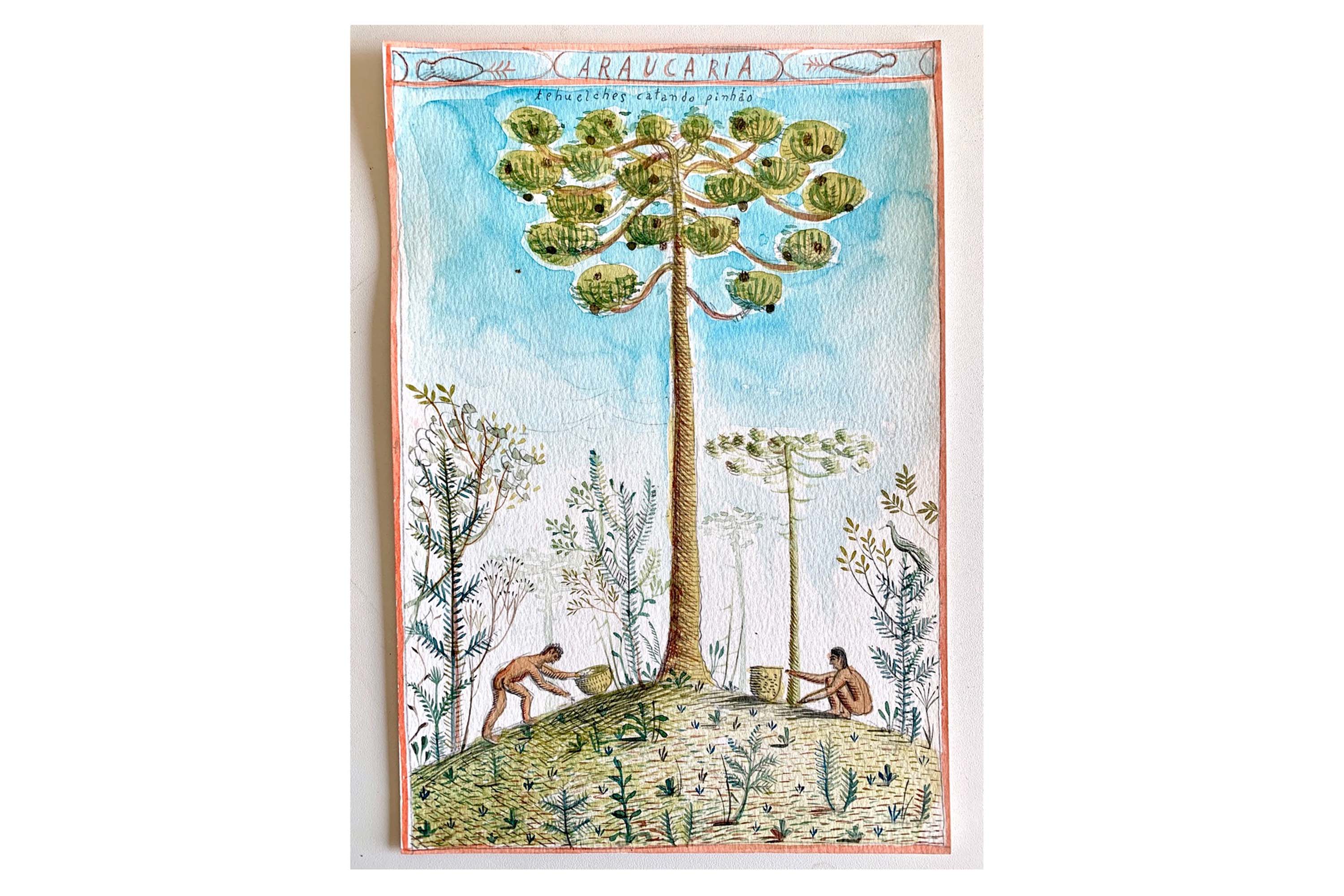 Evento internacional reúne artistas e pesquisadores para bate-papo no Museu Paranaense