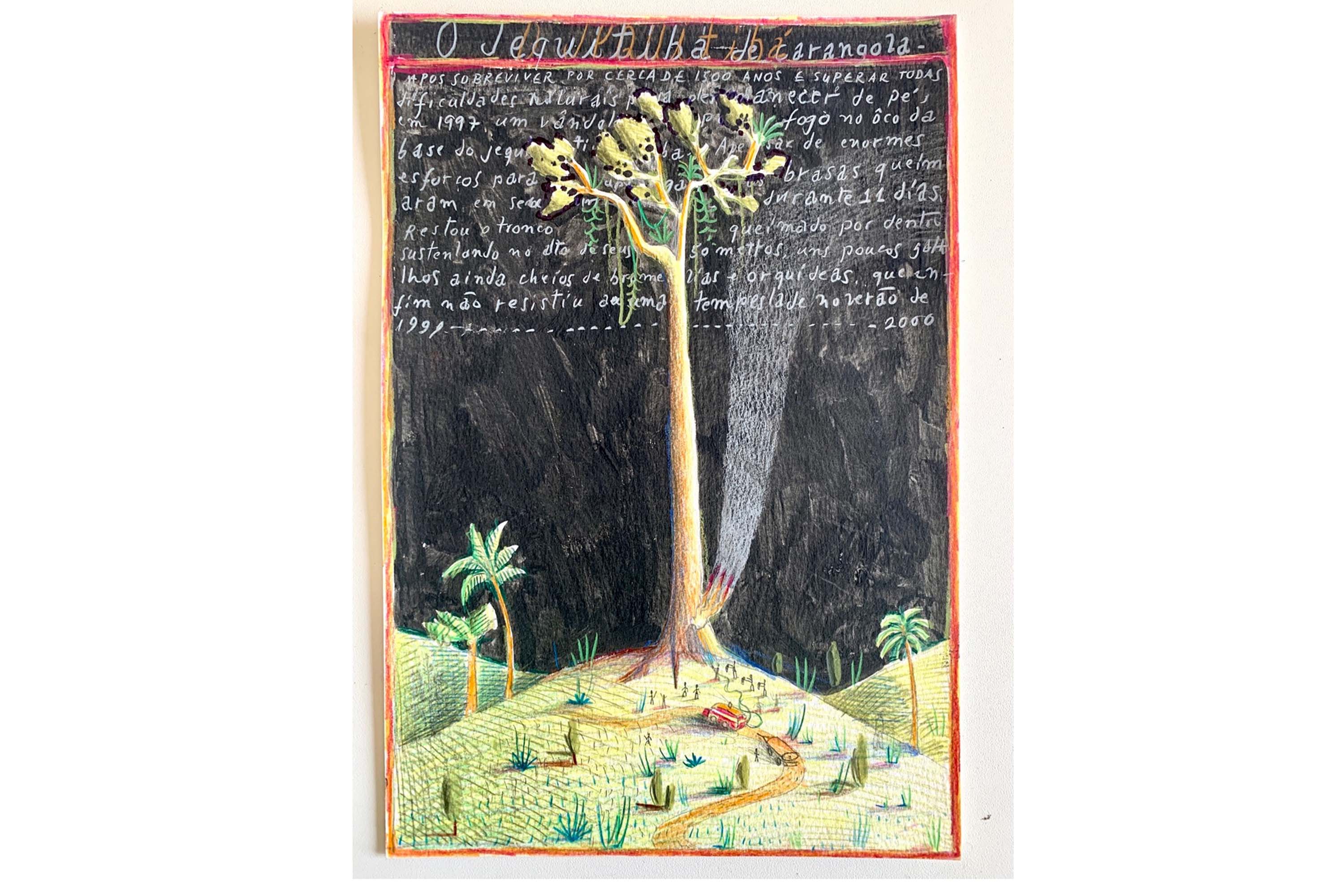 Evento internacional reúne artistas e pesquisadores para bate-papo no Museu Paranaense