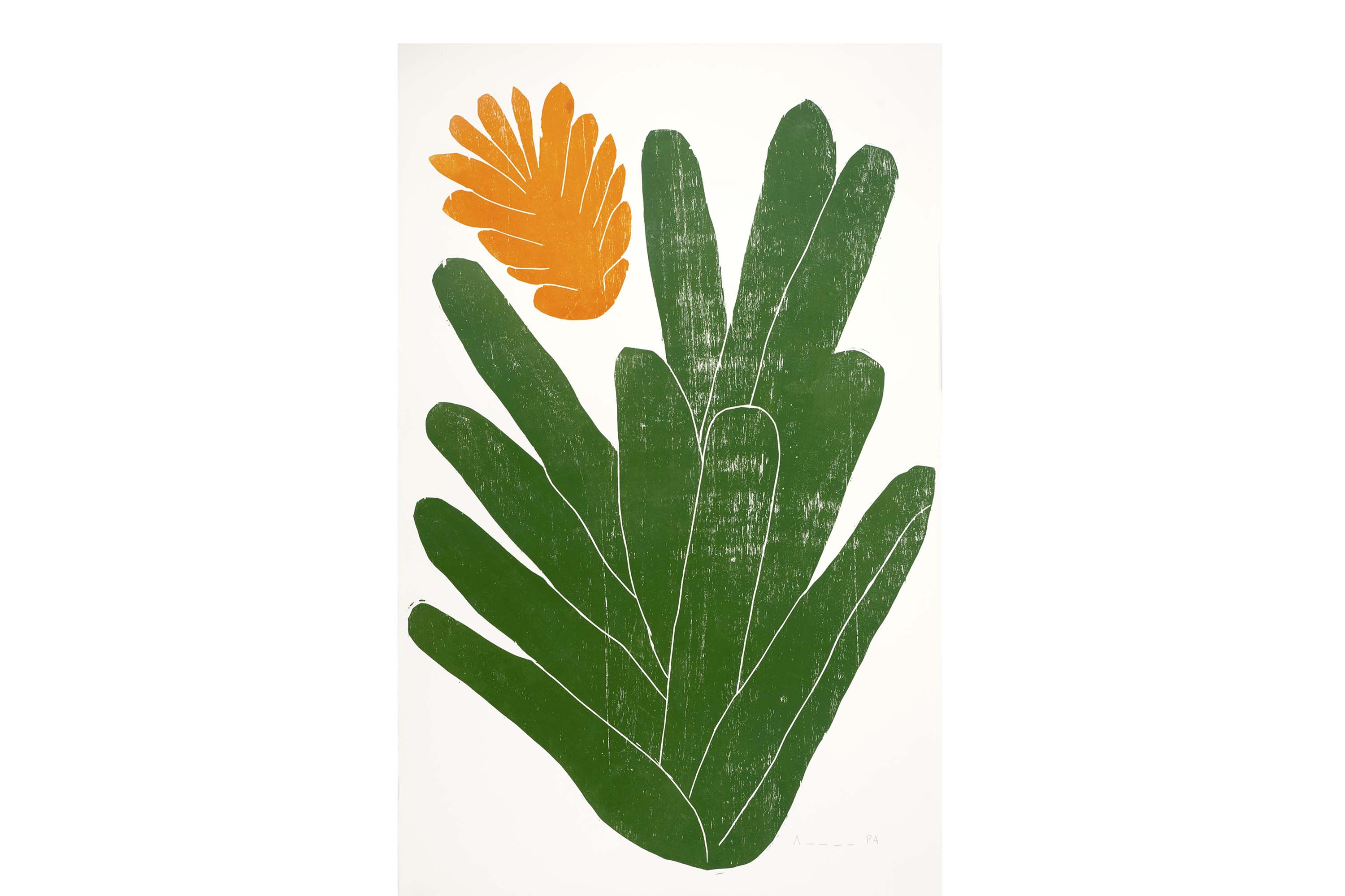 Evento internacional reúne artistas e pesquisadores para bate-papo no Museu Paranaense