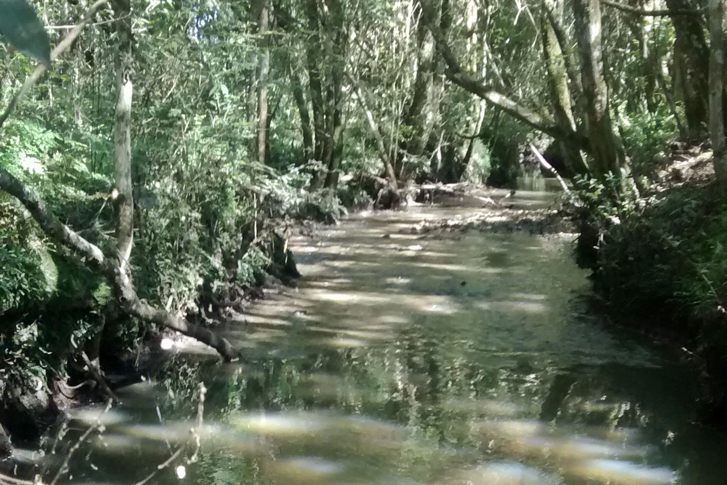 Sanepar fará diagnóstico participativo em 14 bacias do Paraná