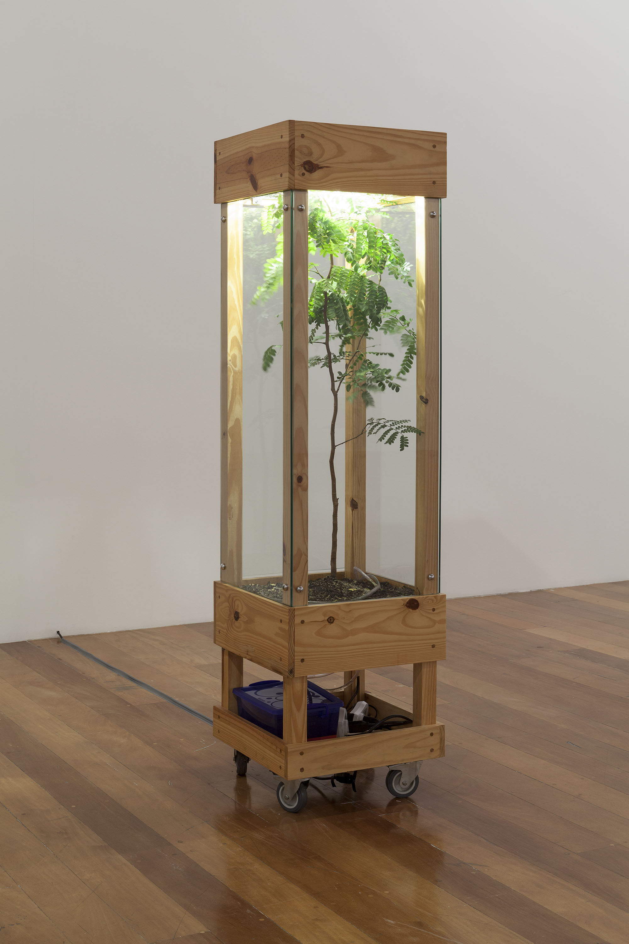 Palestra gratuita e aberta ao público no MUPA