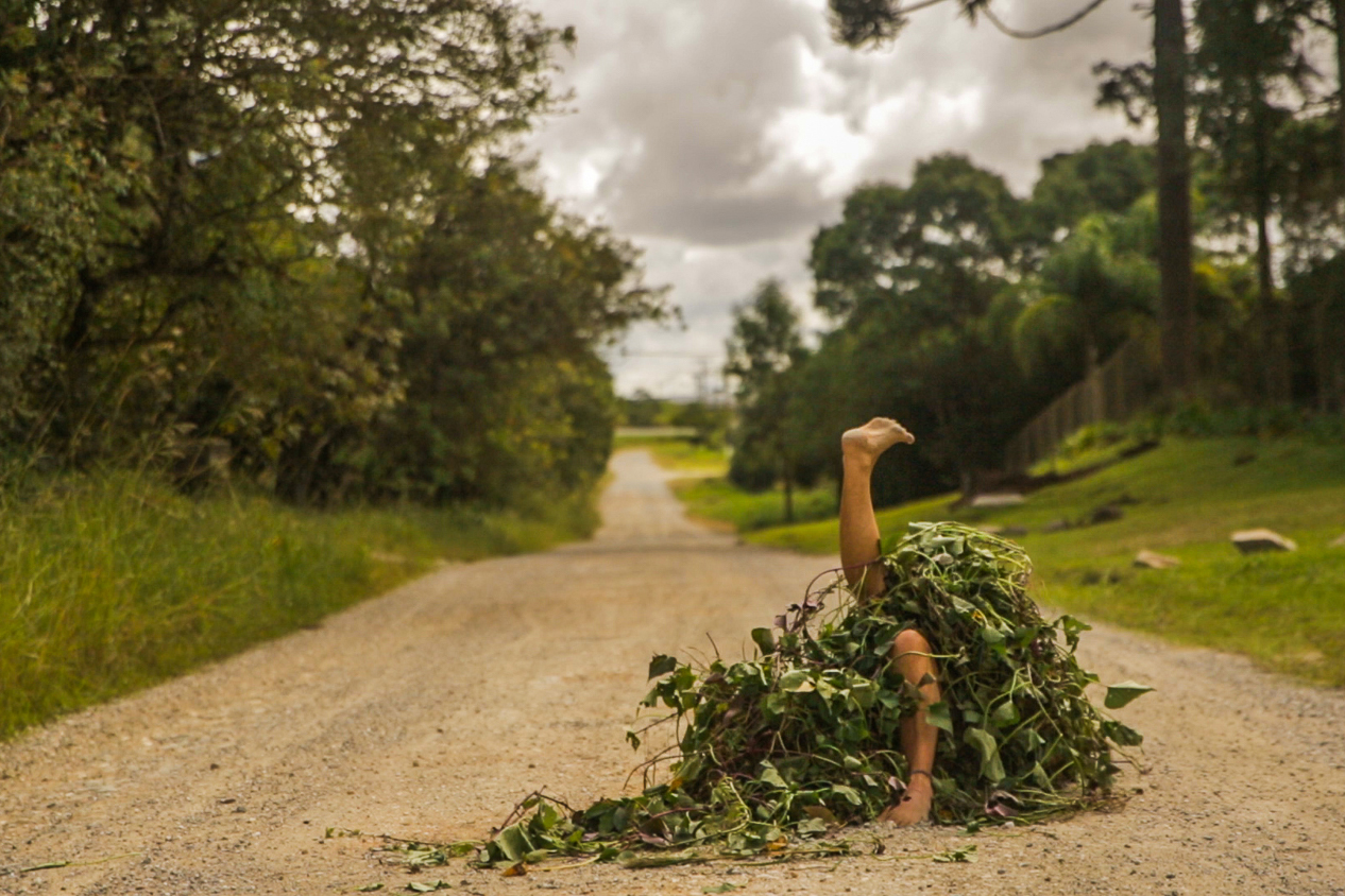 Museu Paranaense tem colheita da horta, cozinha itinerante, performance e nova mostra