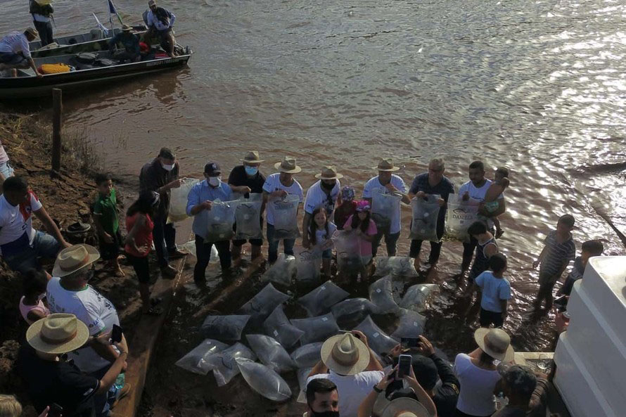 Durante Piracema, Paraná teve cinco forças-tarefas de fiscalização e repovoou rios com mais 770 mil peixes nativos