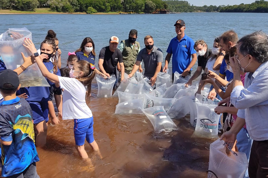 Durante Piracema, Paraná teve cinco forças-tarefas de fiscalização e repovoou rios com mais 770 mil peixes nativos