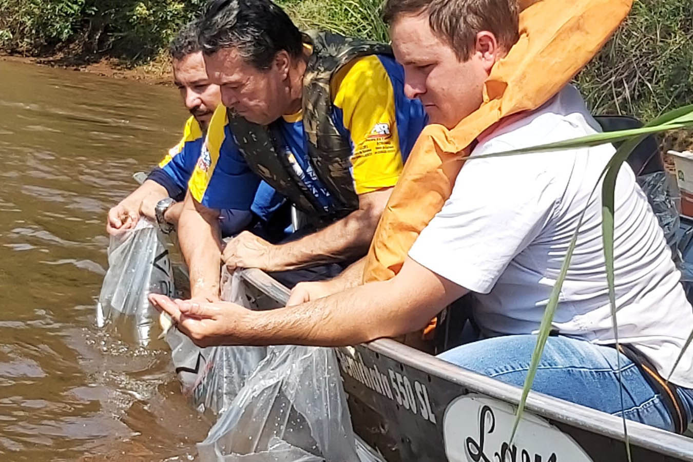 Durante Piracema, Paraná teve cinco forças-tarefas de fiscalização e repovoou rios com mais 770 mil peixes nativos