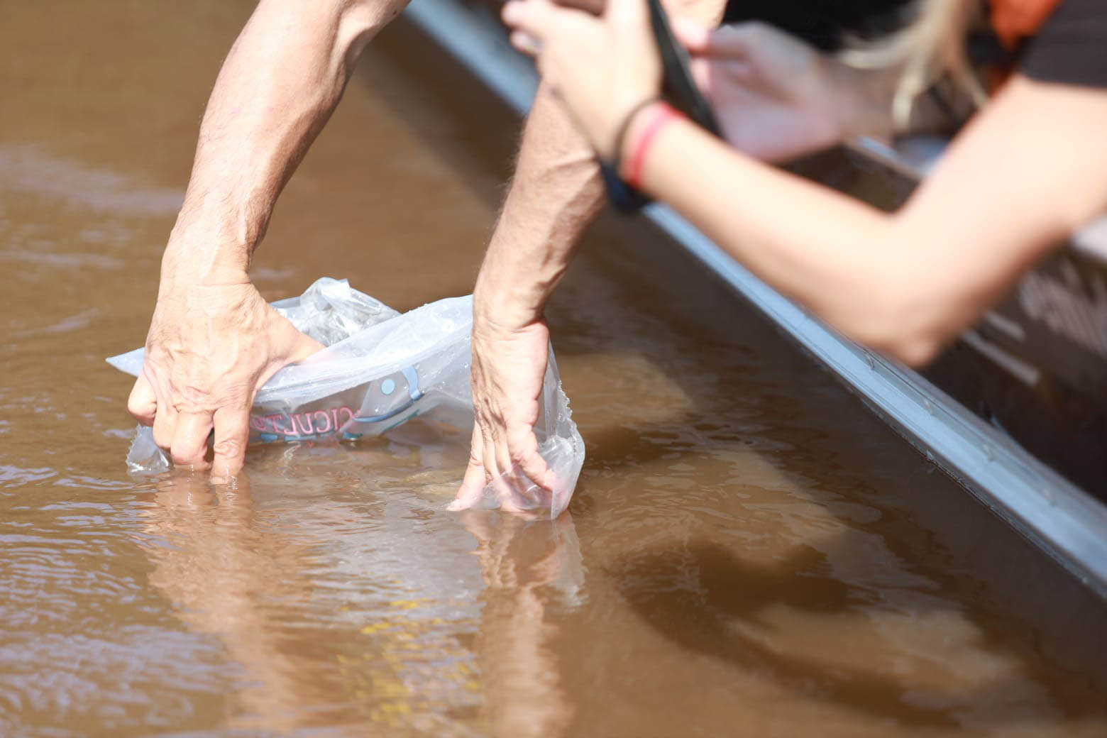 Durante Piracema, Paraná teve cinco forças-tarefas de fiscalização e repovoou rios com mais 770 mil peixes nativos