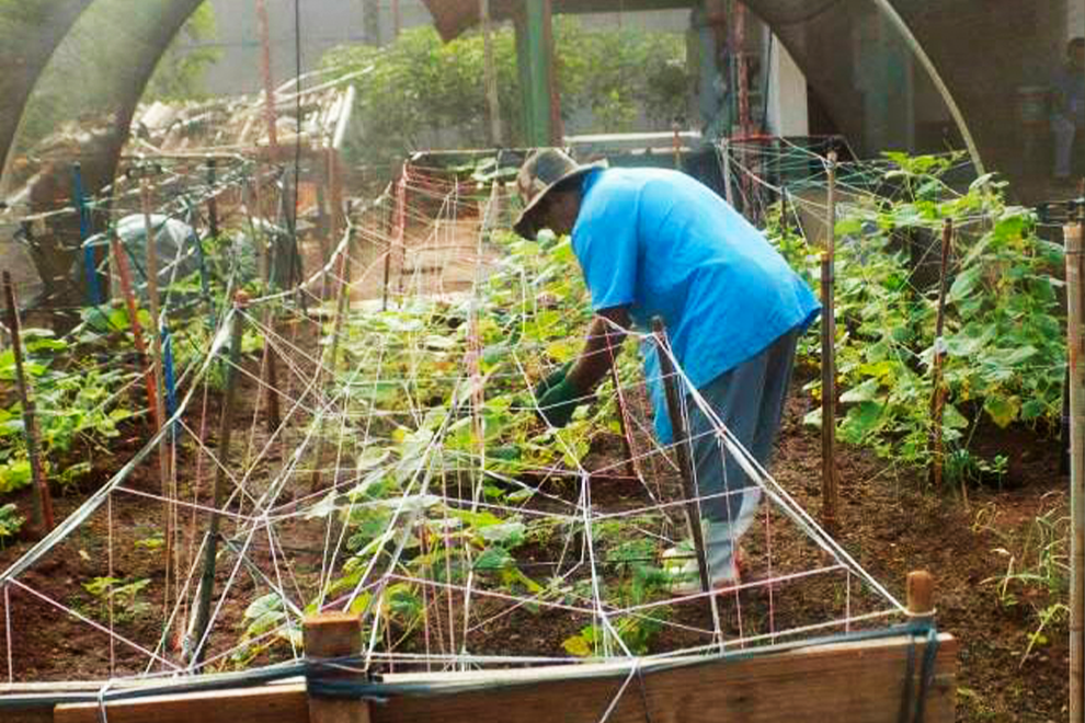 Penitenciária Estadual de Maringá estimula ressocialização de presos por meio de trabalho