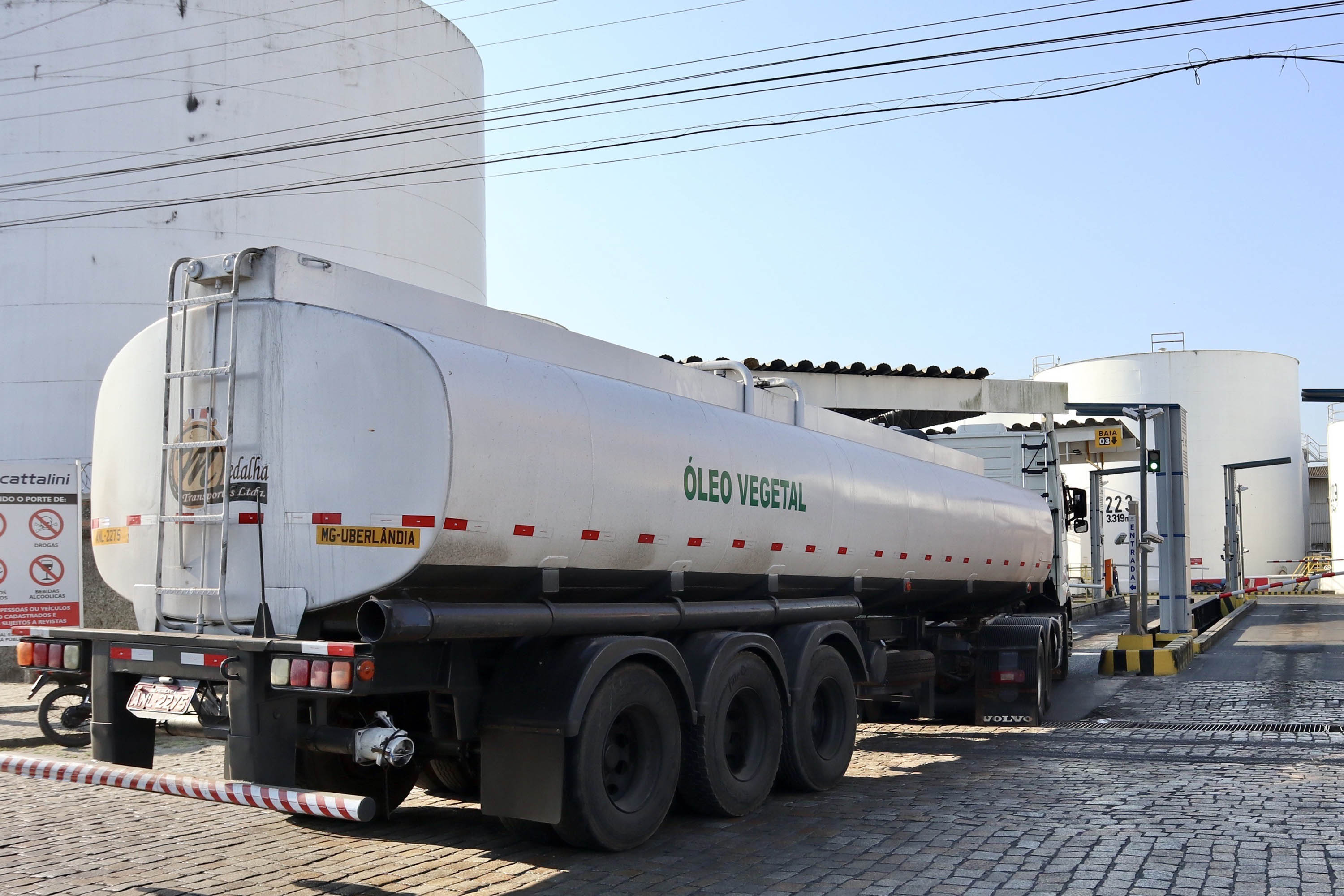 Exportações do complexo soja pelo Porto de Paranaguá crescem 25% no 1º trimestre