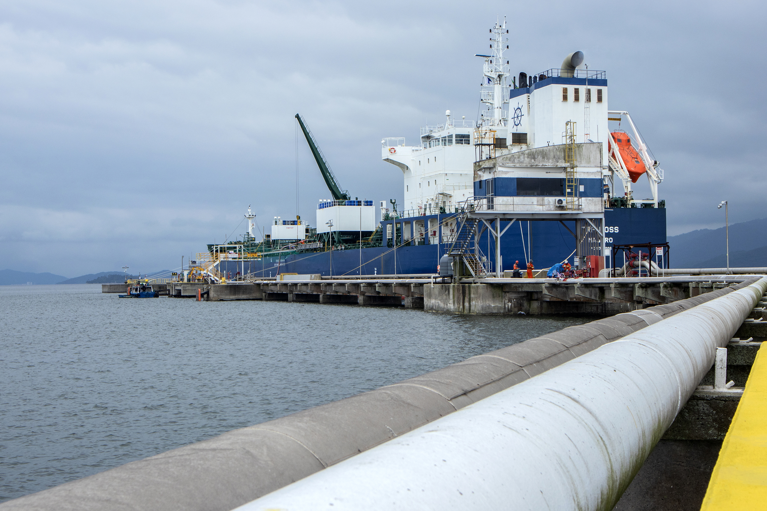 Exportações do complexo soja pelo Porto de Paranaguá crescem 25% no 1º trimestre