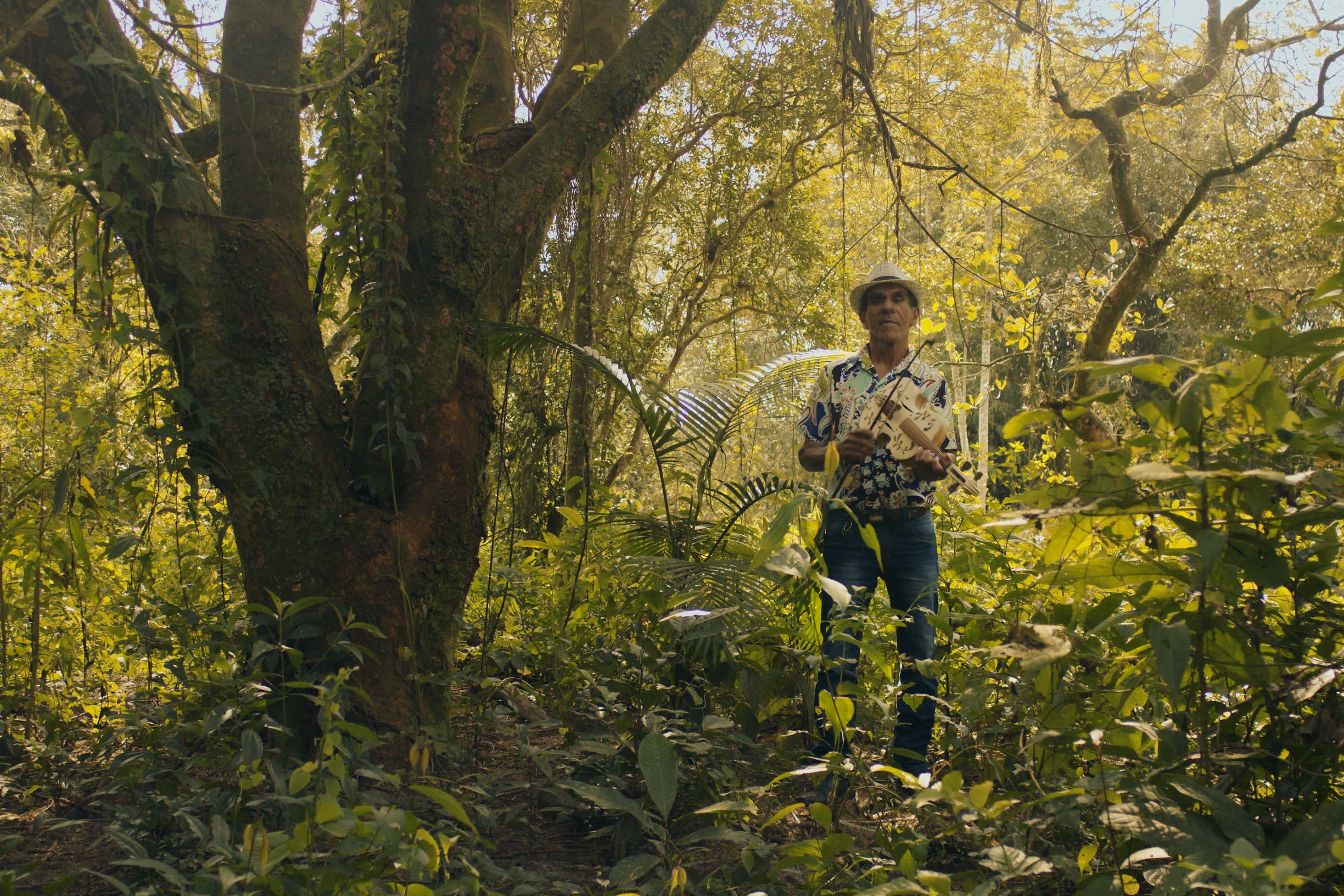 Nova mostra no Museu Paranaense mergulha nas histórias e identidades de povos que formam e seguem formando o Paraná