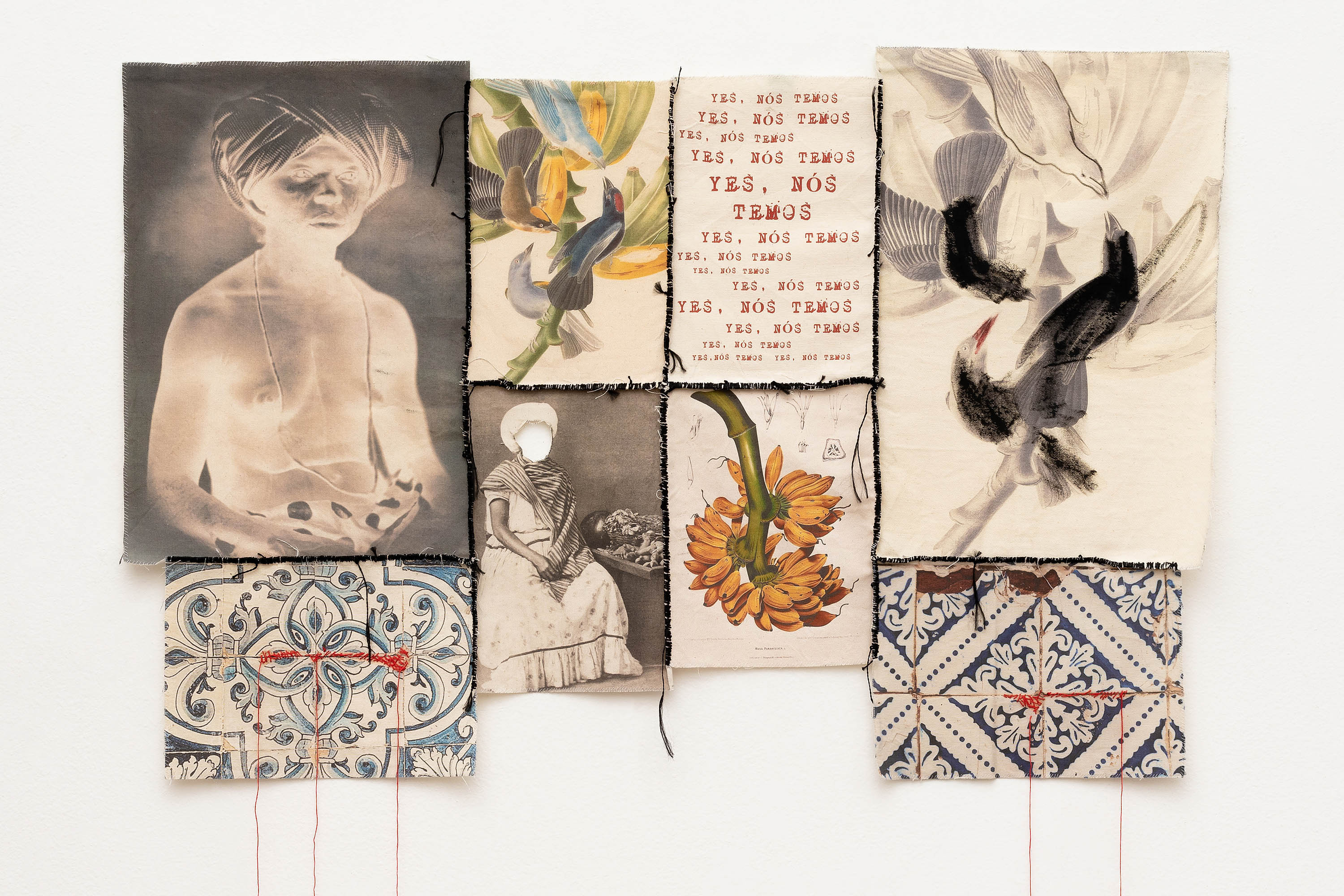 MUPA ABRE EXPOSIÇÃO NECROBRALISIANA