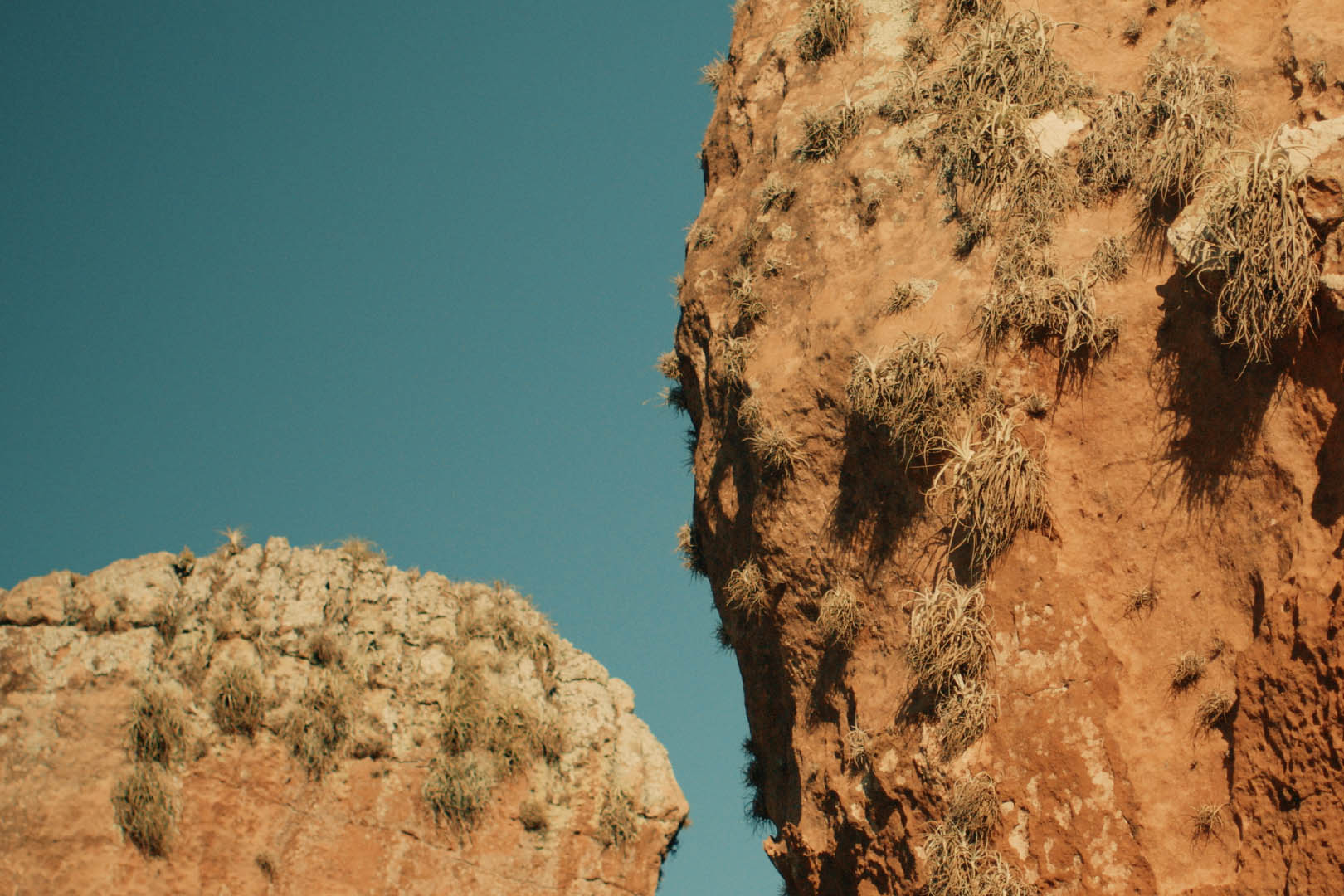 Nova mostra no Museu Paranaense mergulha nas histórias e identidades de povos que formam e seguem formando o Paraná