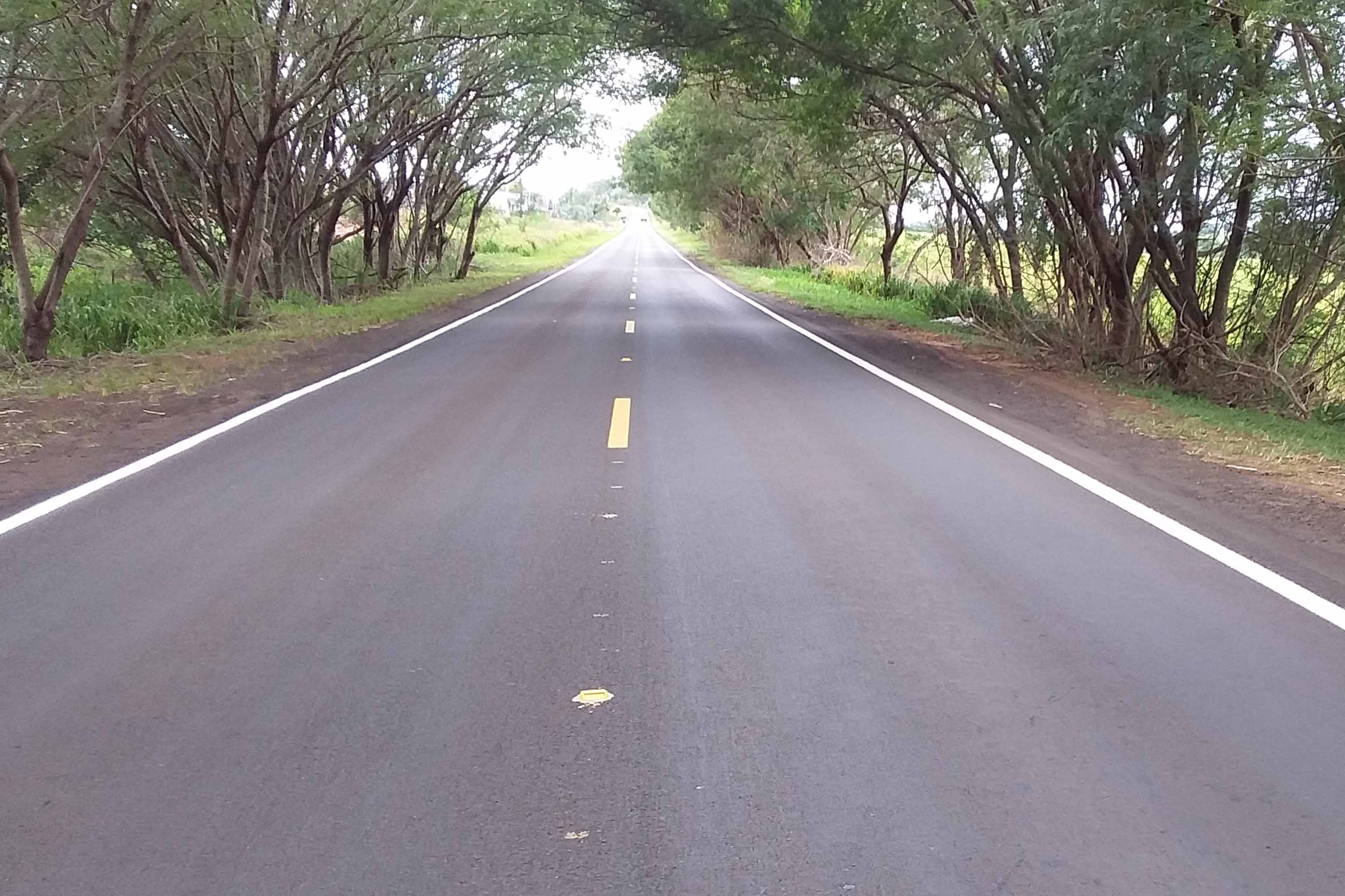 Governo realiza reforço de segurança viária entre Nova Londrina e Porto São José