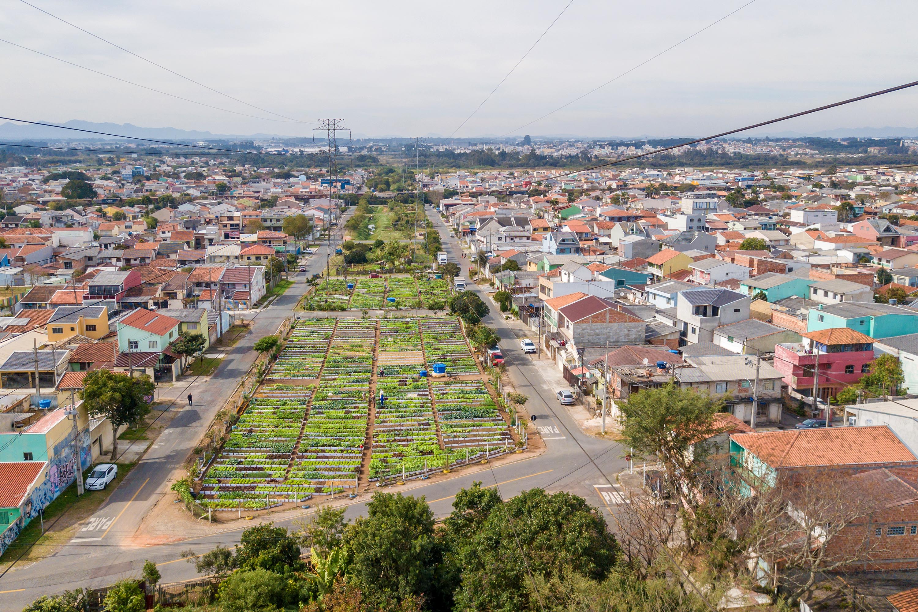 Hortas urbanas sob linhas de energia produzem toneladas de alimentos orgânicos no PR