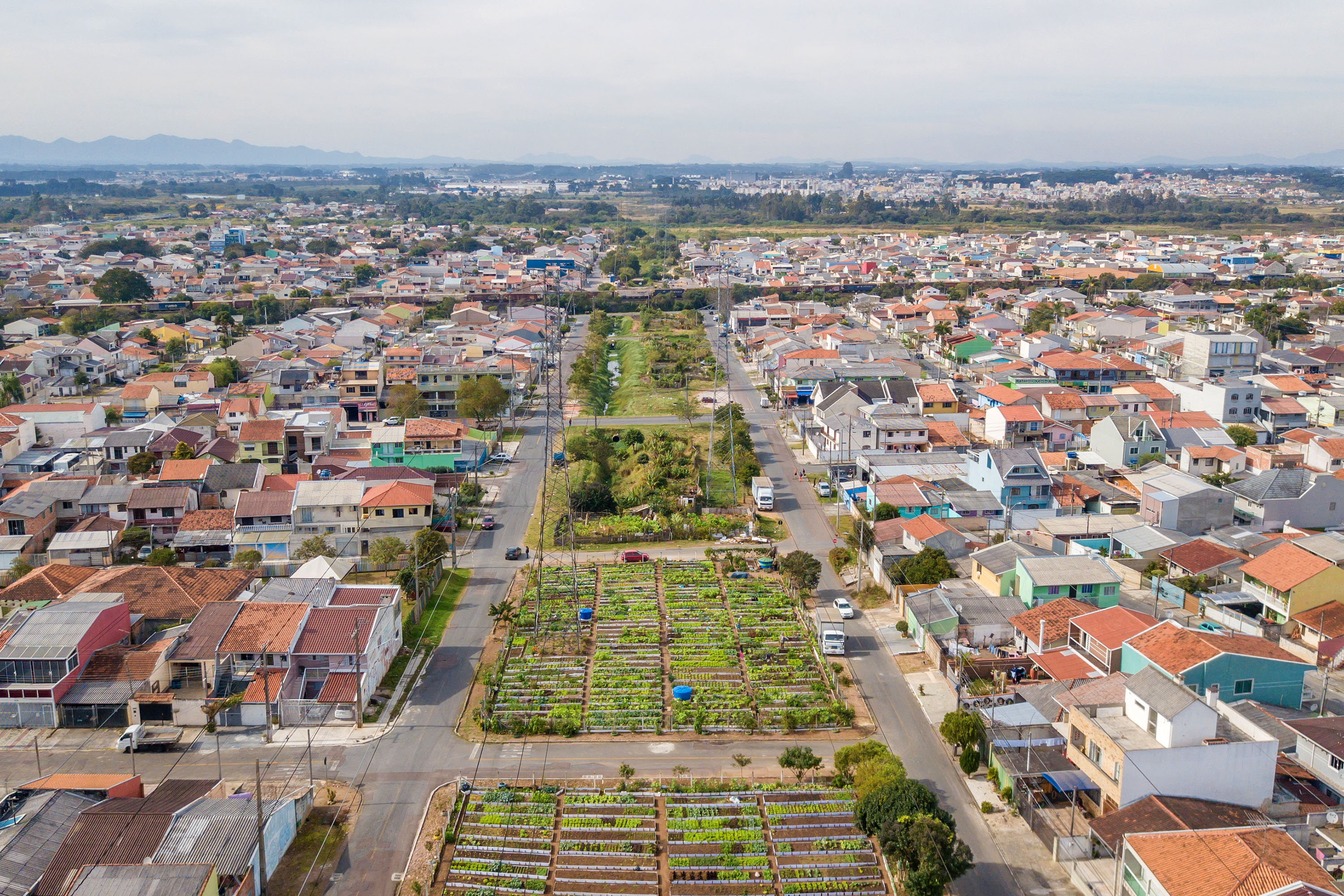 Hortas urbanas sob linhas de energia produzem toneladas de alimentos orgânicos no PR
