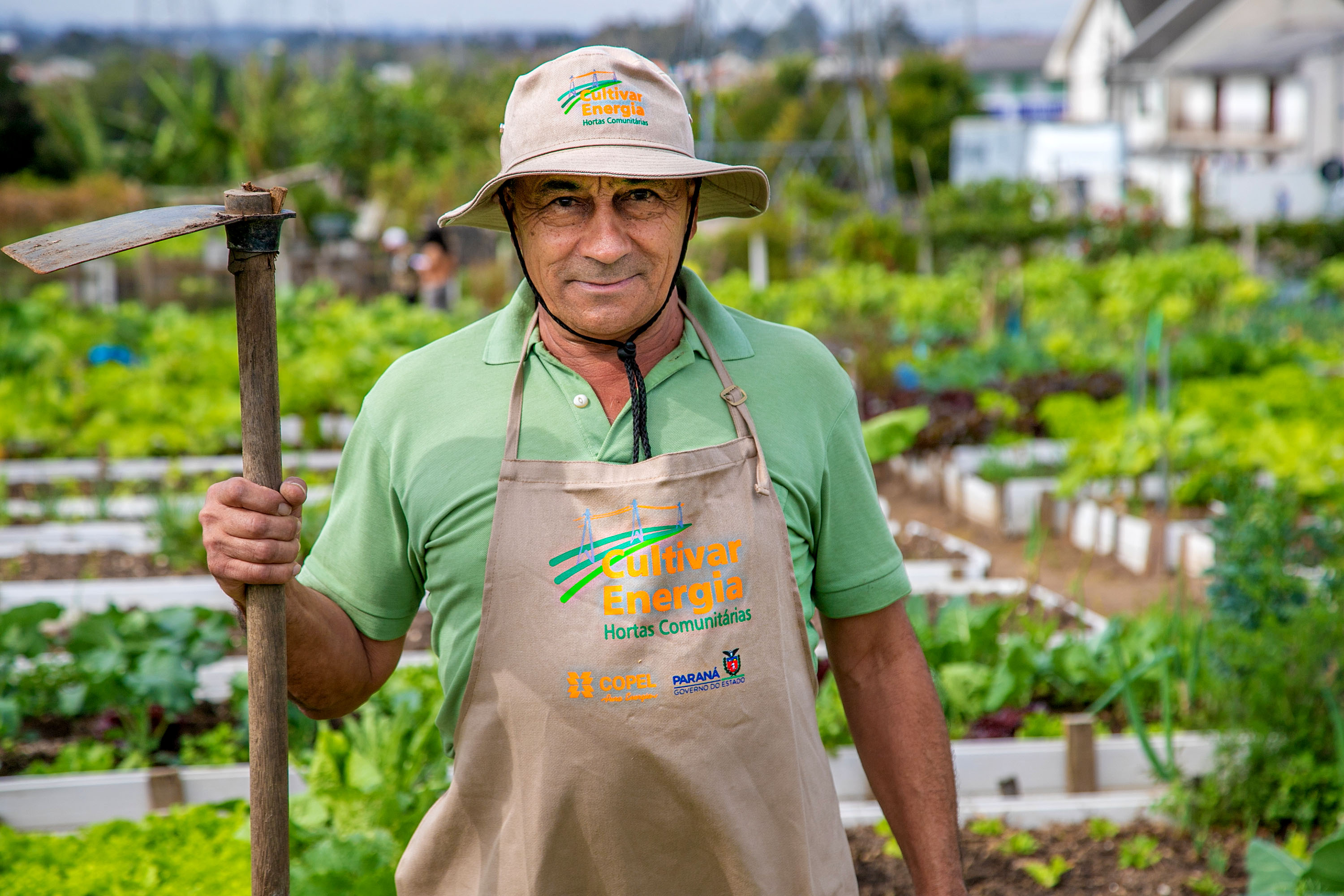 Hortas urbanas sob linhas de energia produzem toneladas de alimentos orgânicos no PR