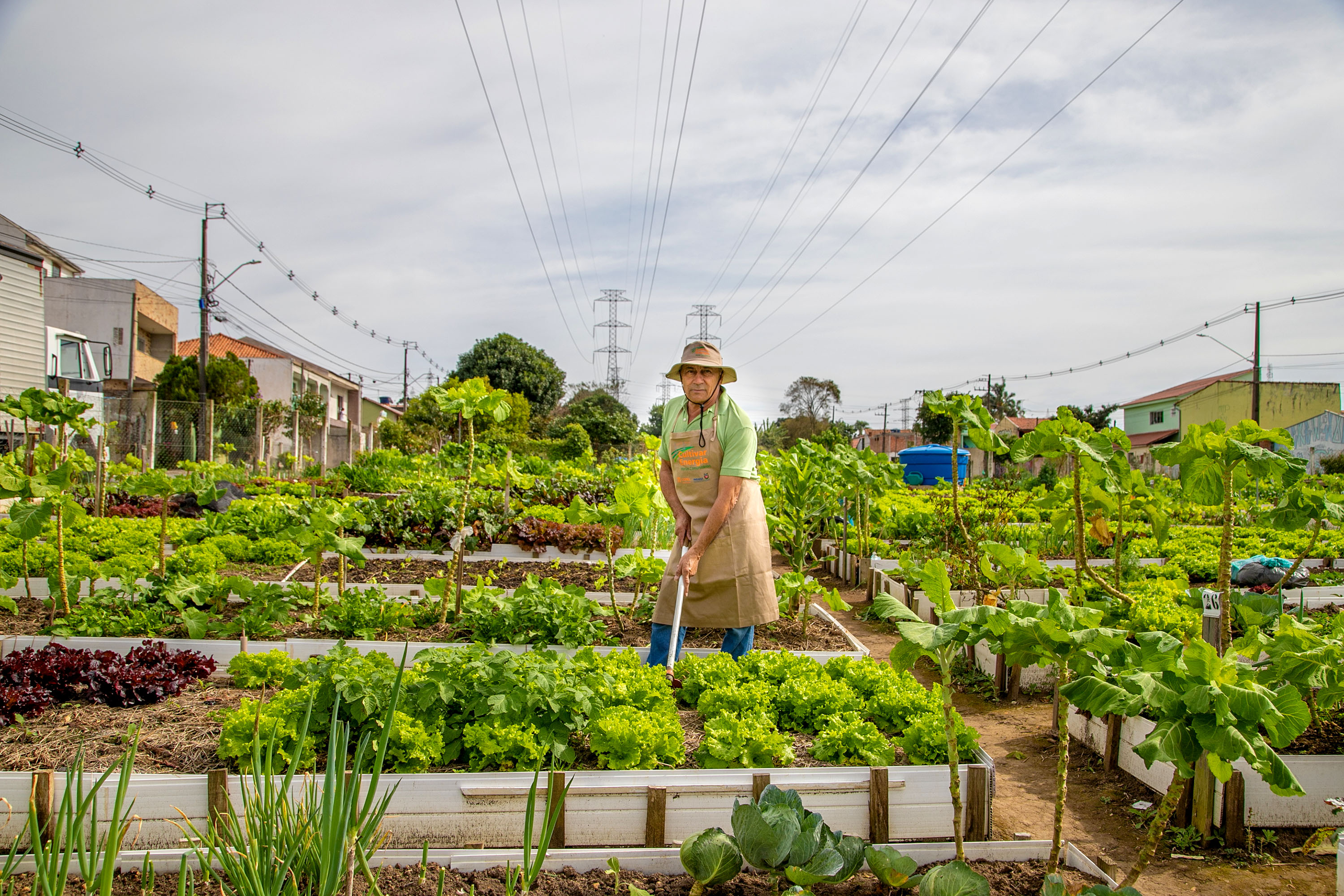 Hortas urbanas sob linhas de energia produzem toneladas de alimentos orgânicos no PR