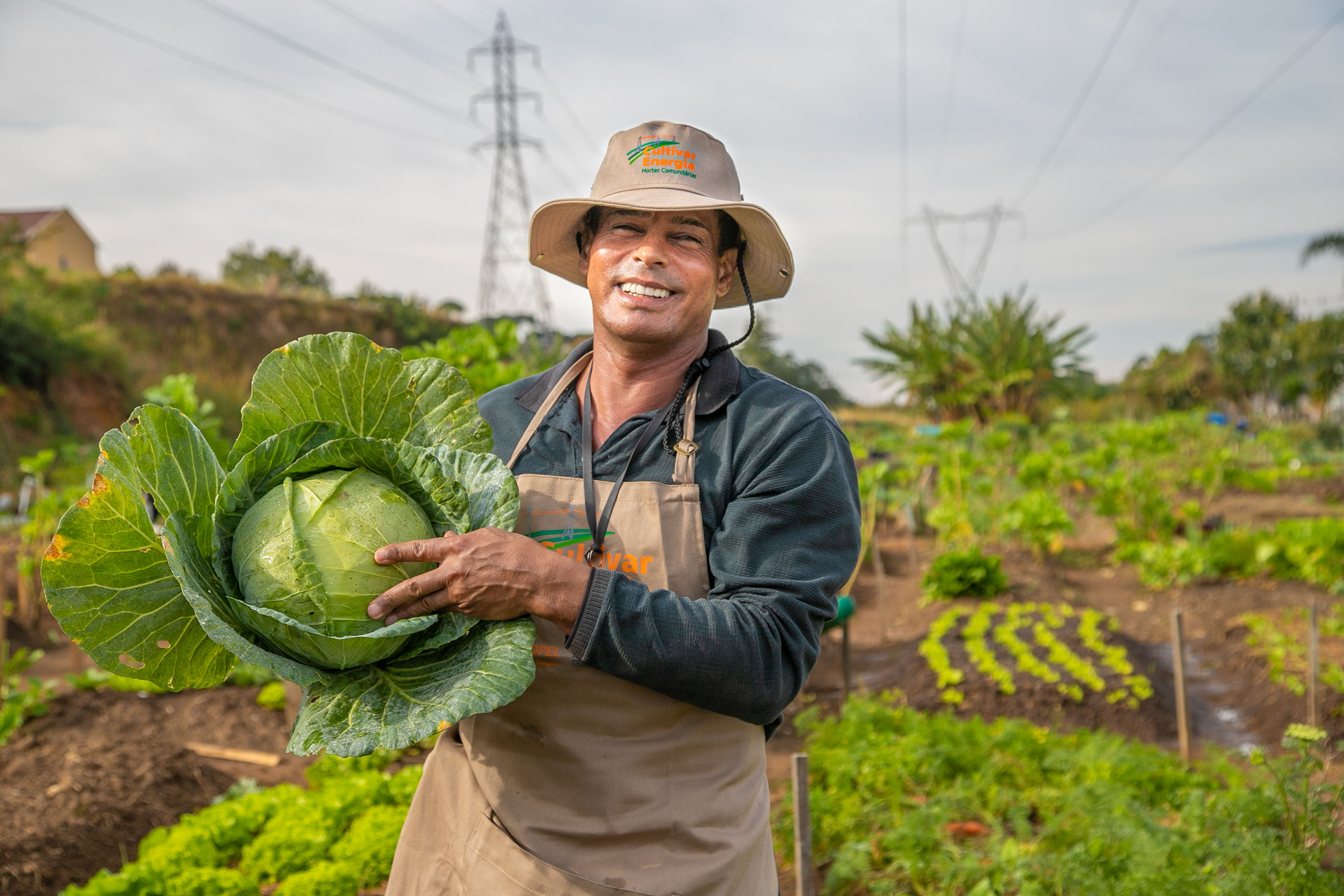 Hortas urbanas sob linhas de energia produzem toneladas de alimentos orgânicos no PR