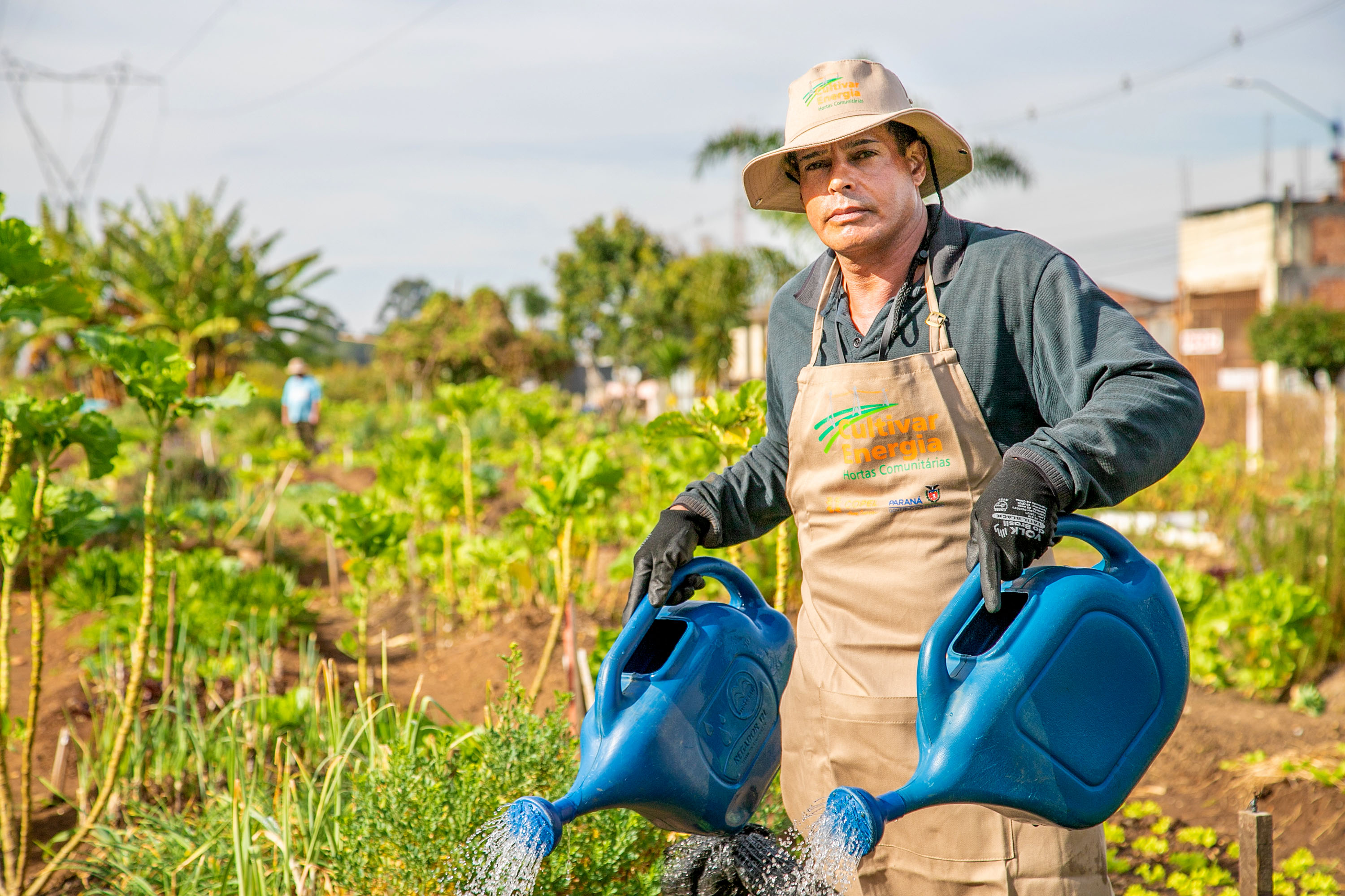 Hortas urbanas sob linhas de energia produzem toneladas de alimentos orgânicos no PR