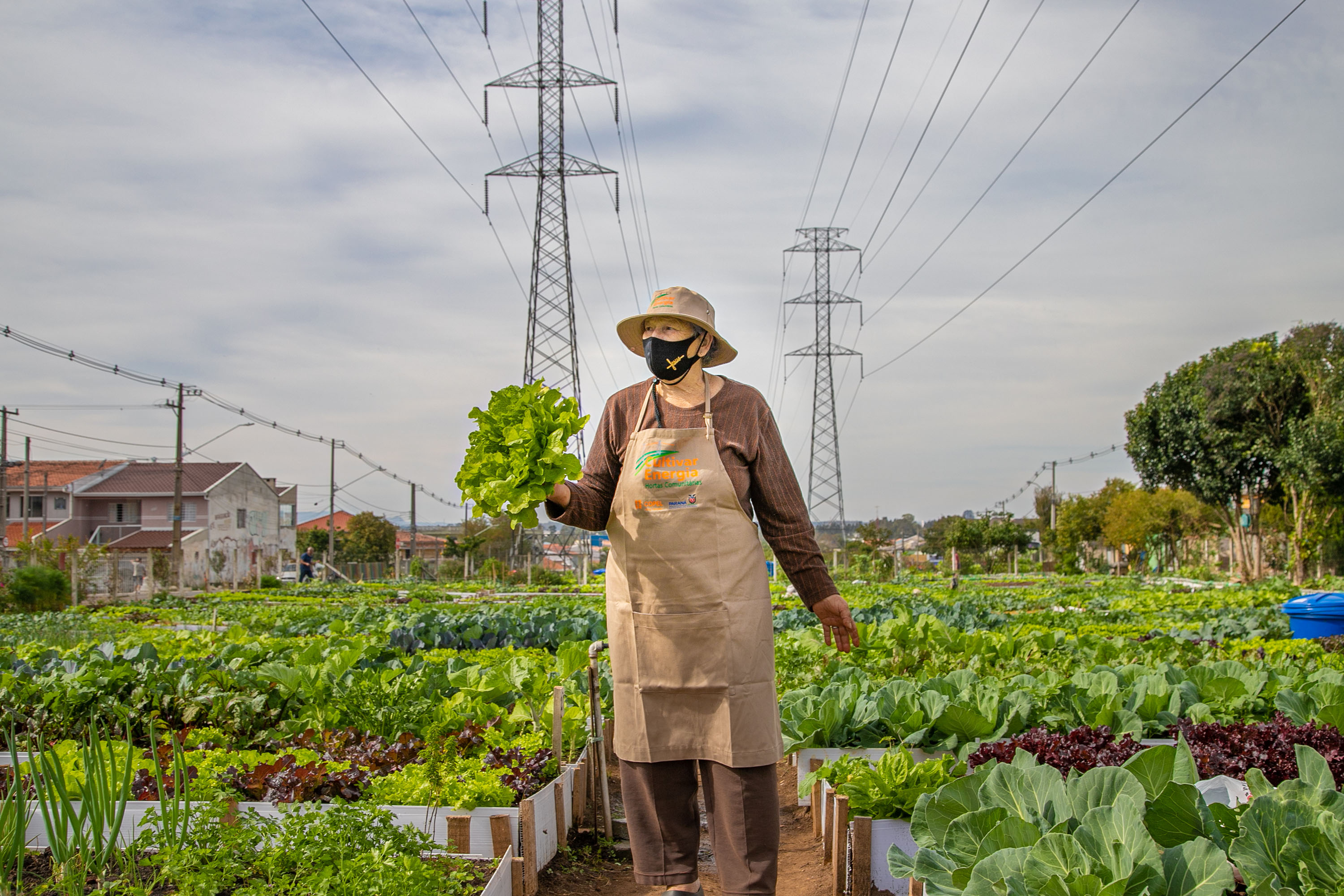 Hortas urbanas sob linhas de energia produzem toneladas de alimentos orgânicos no PR