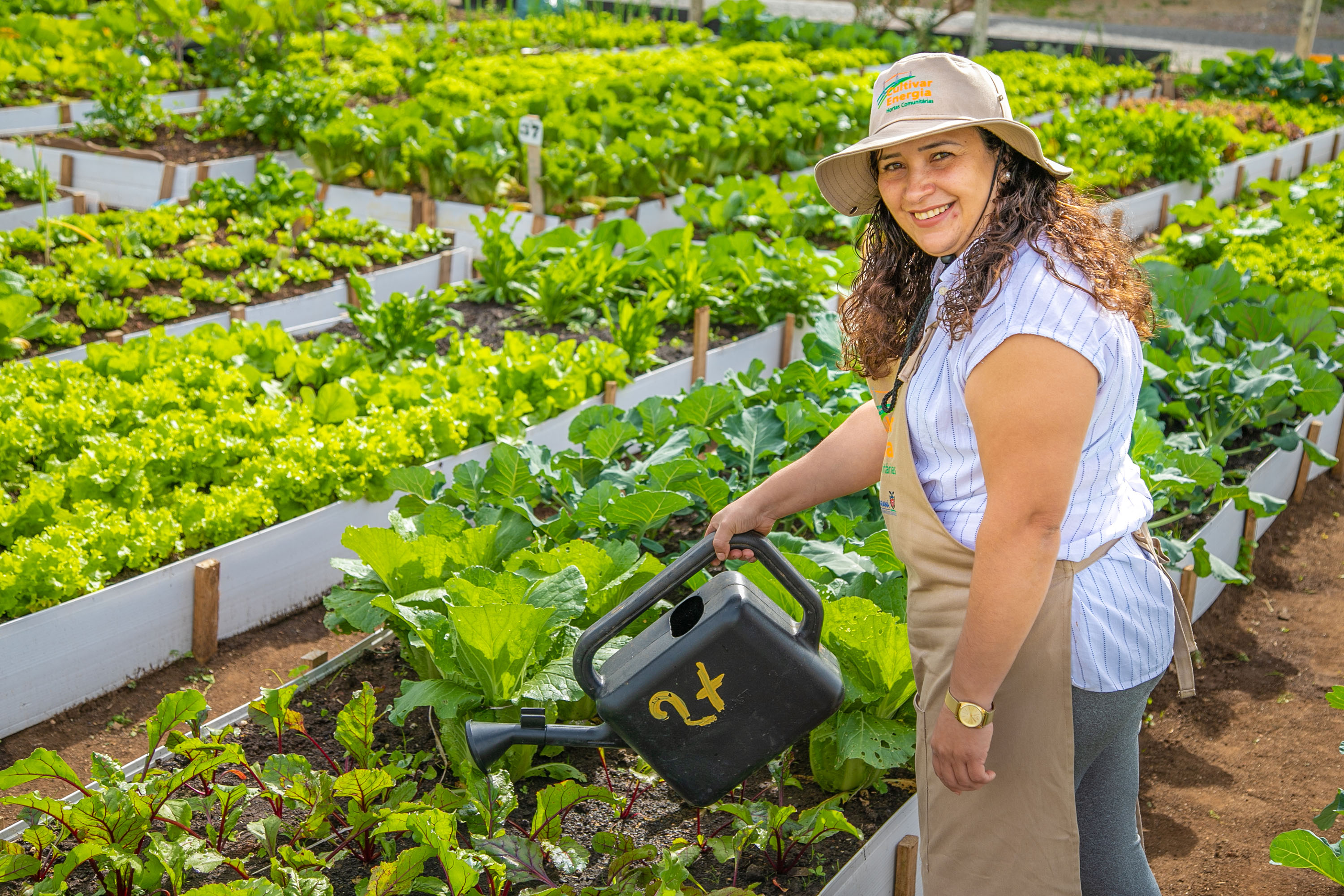 Hortas urbanas sob linhas de energia produzem toneladas de alimentos orgânicos no PR