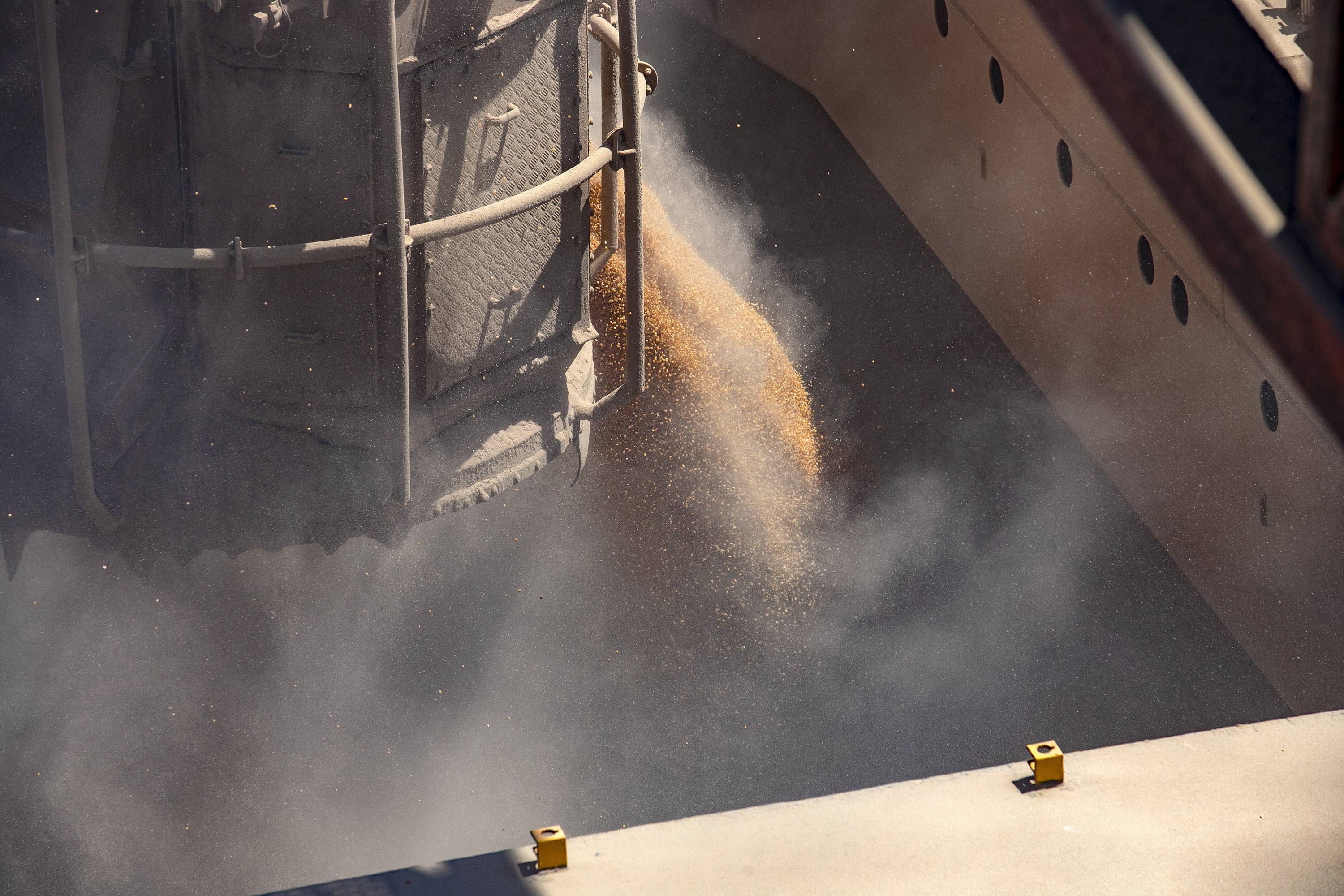 Porto de Paranaguá tem alta de 11,73% nas movimentações de grãos pelo Corredor Leste