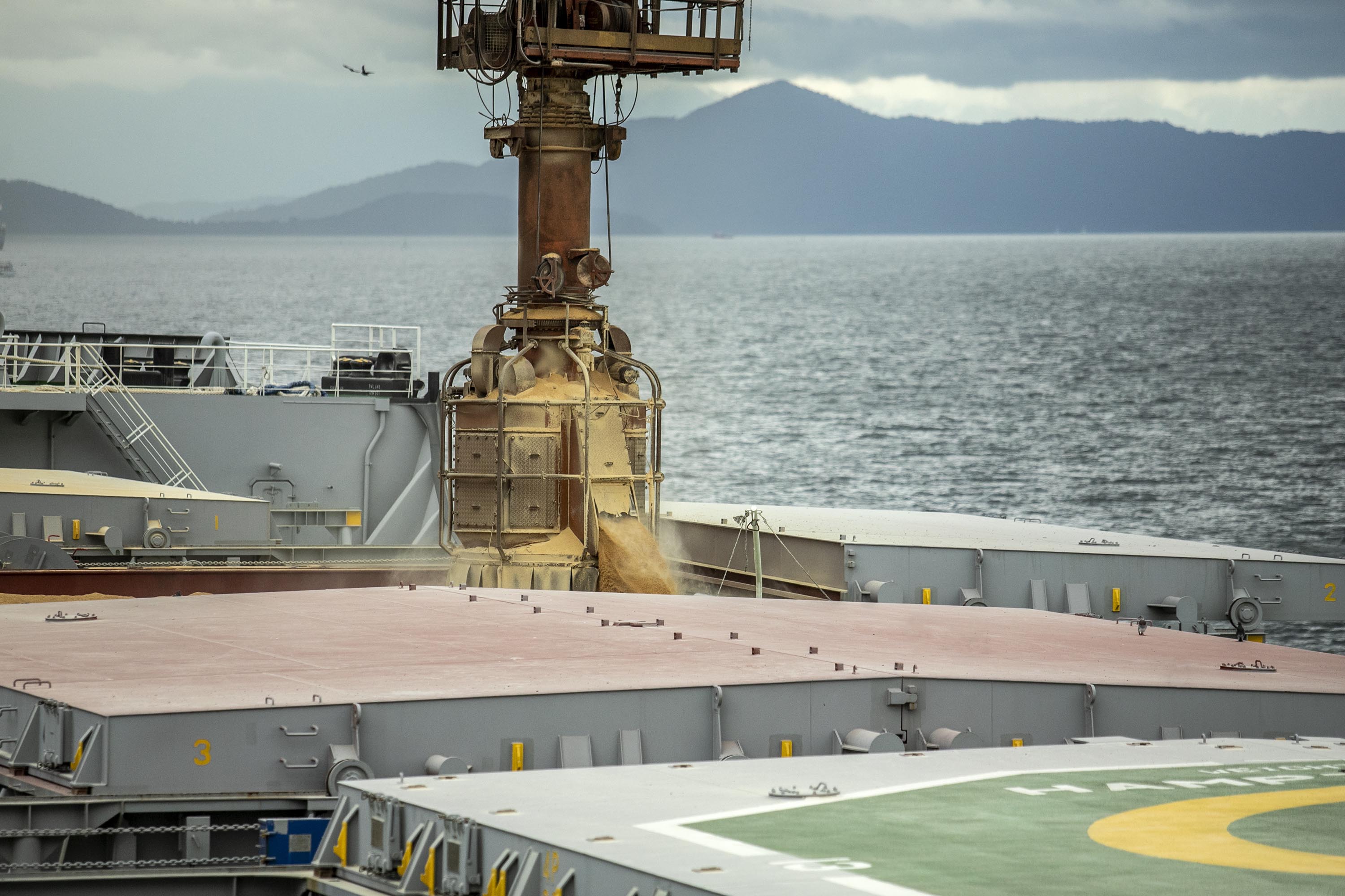 Porto de Paranaguá tem alta de 11,73% nas movimentações de grãos pelo Corredor Leste