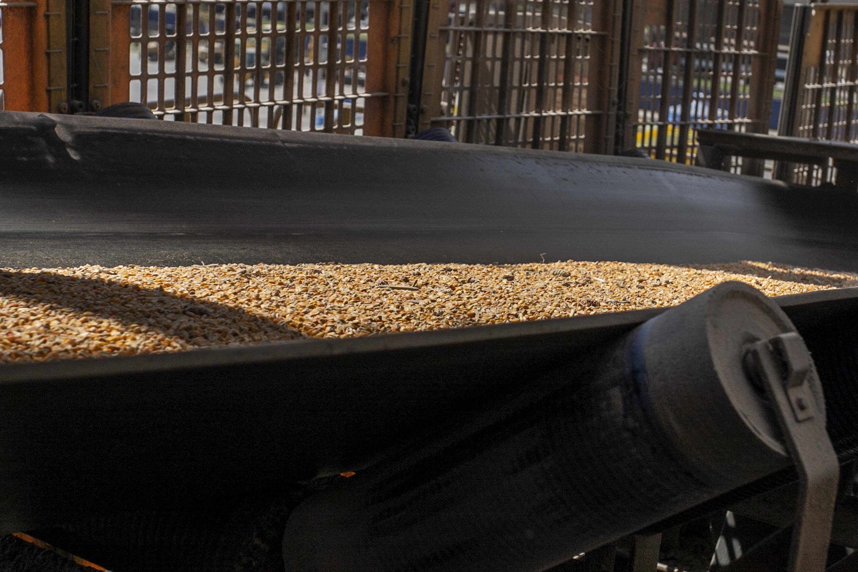 Porto de Paranaguá tem alta de 11,73% nas movimentações de grãos pelo Corredor Leste