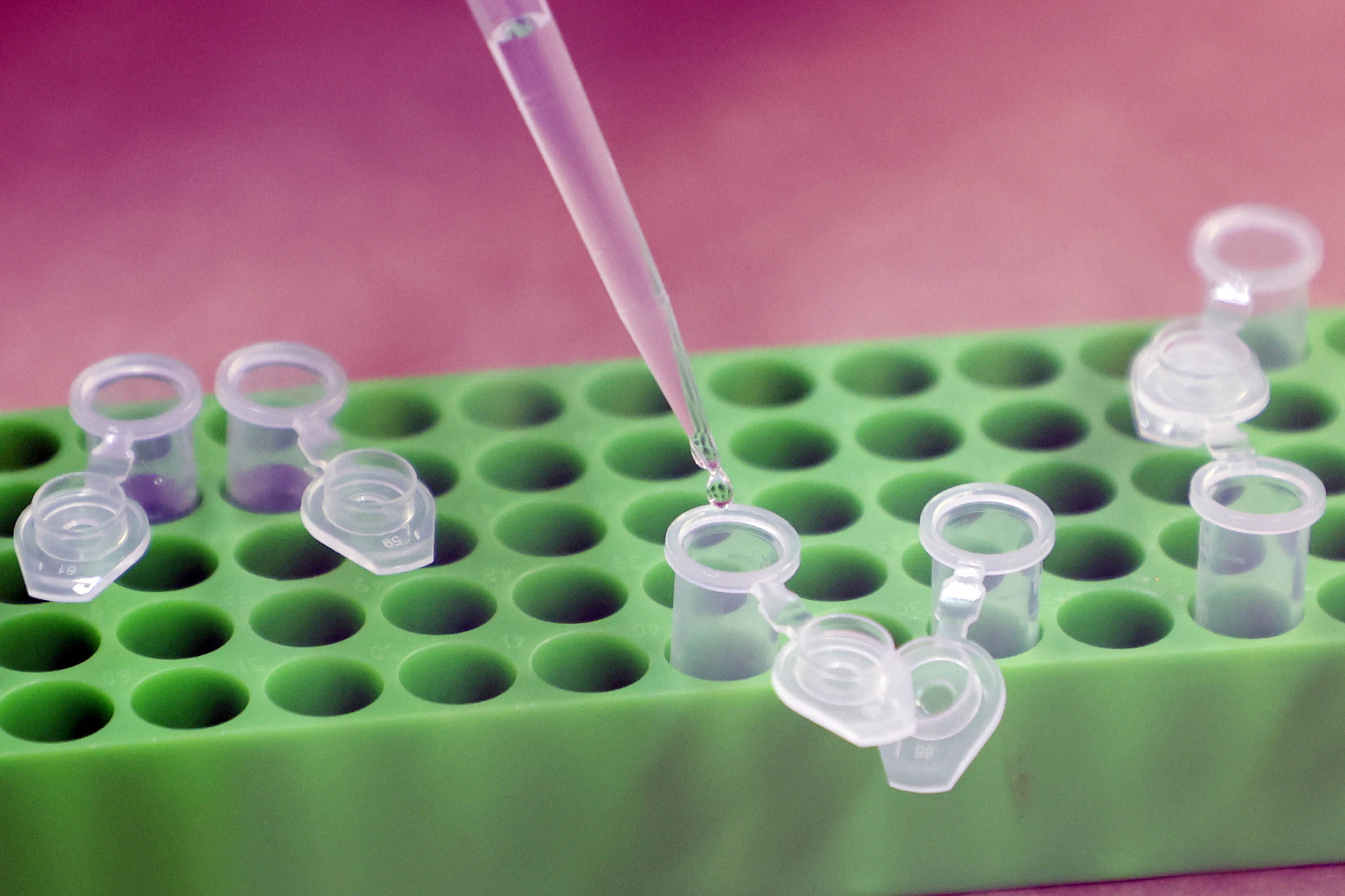 Polícia Científica do Paraná desponta na identificação de novas drogas e inserção de perfis genéticos