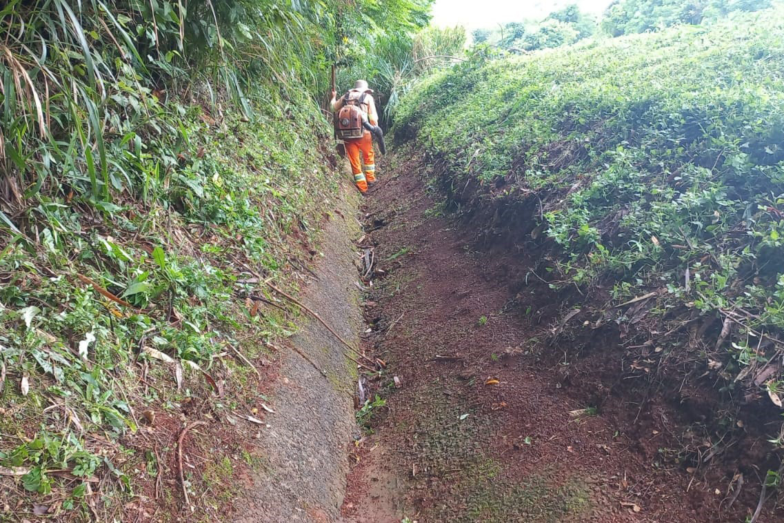Rodovia estadual de Mandaguari recebe serviços de conservação, pintura e roçada