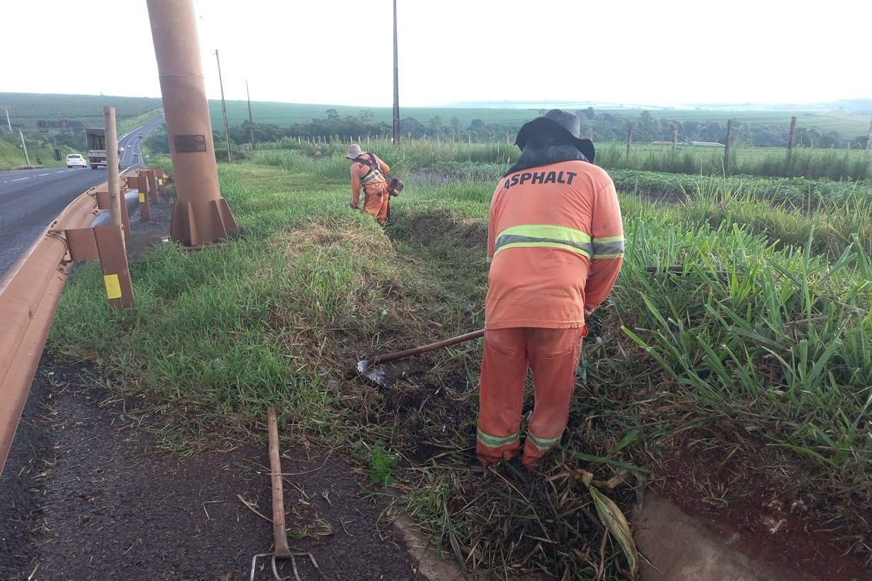 Rodovia estadual de Mandaguari recebe serviços de conservação, pintura e roçada