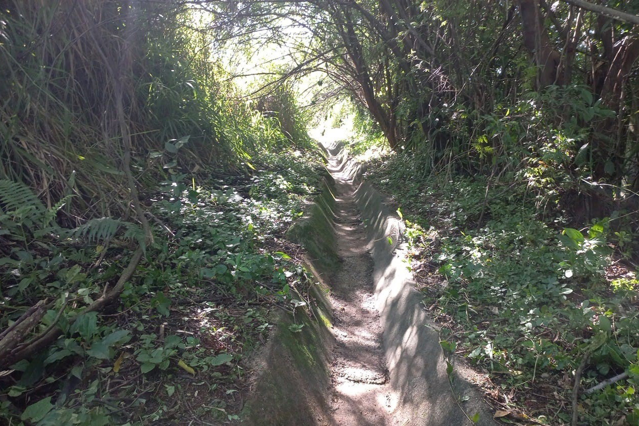 Rodovia estadual de Mandaguari recebe serviços de conservação, pintura e roçada