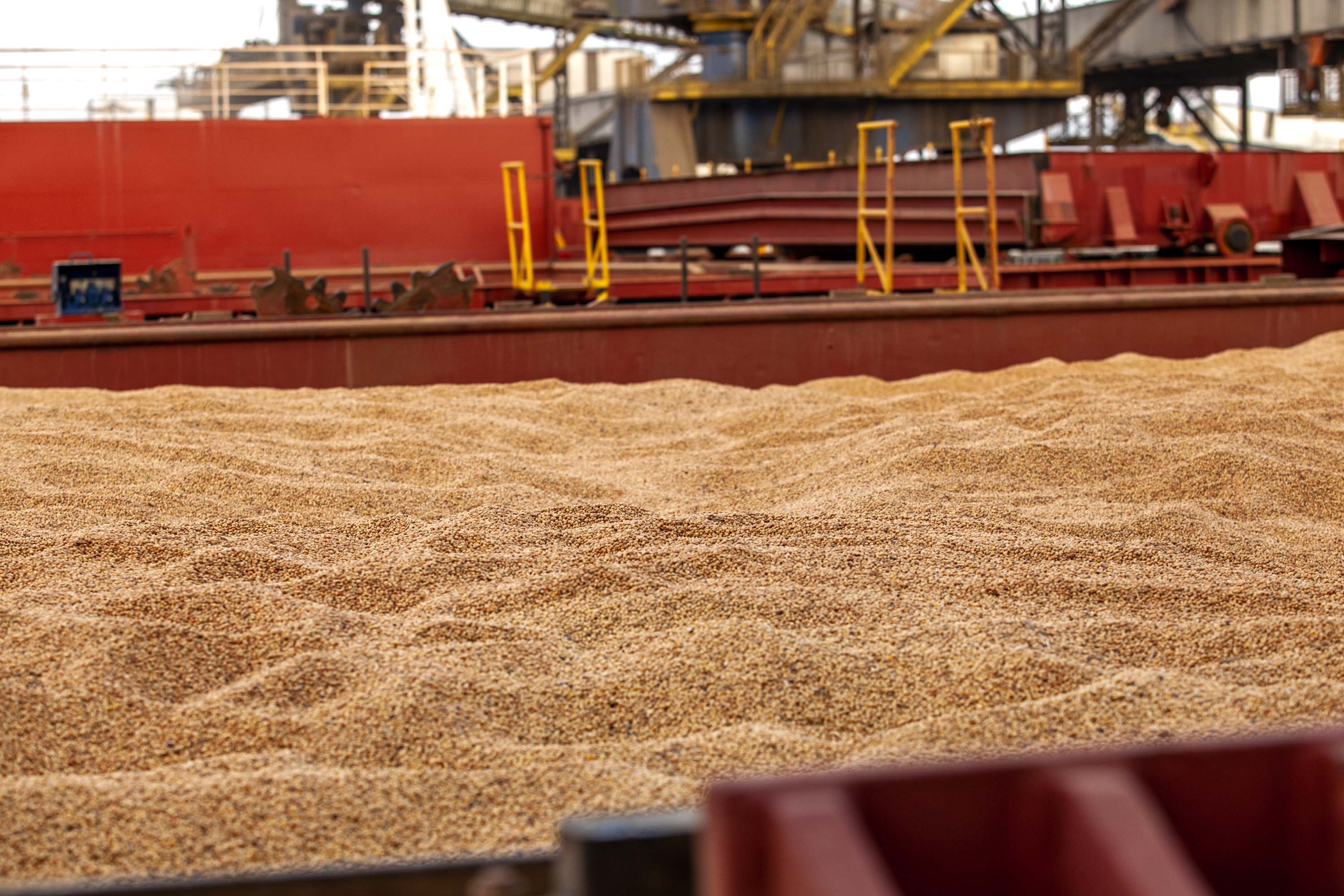 Comunidade portuária do Paraná alcança novo recorde histórico de movimentação