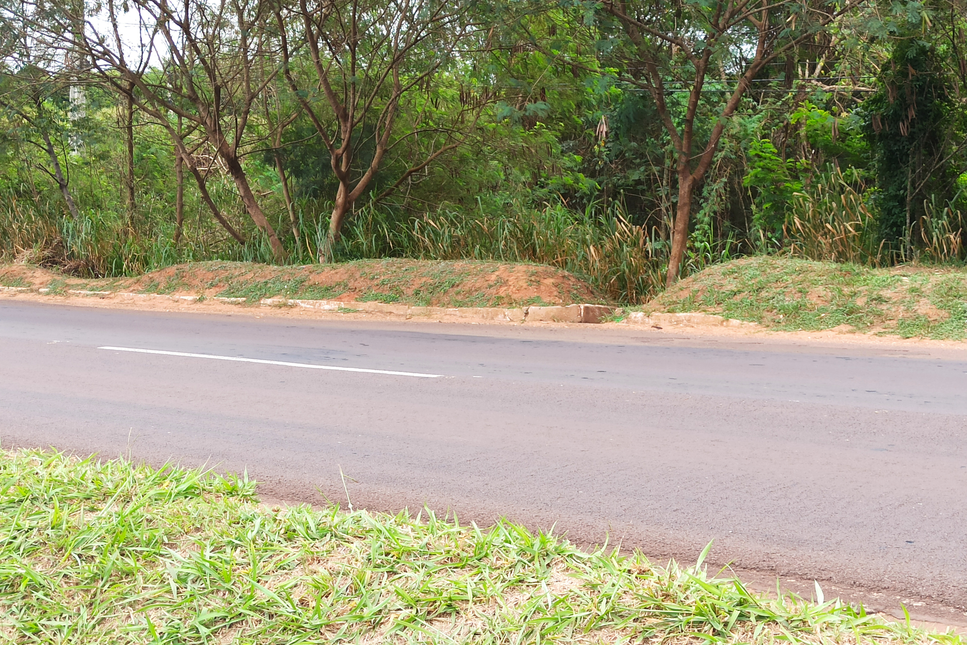 Pontes Noroeste e Centro Oeste