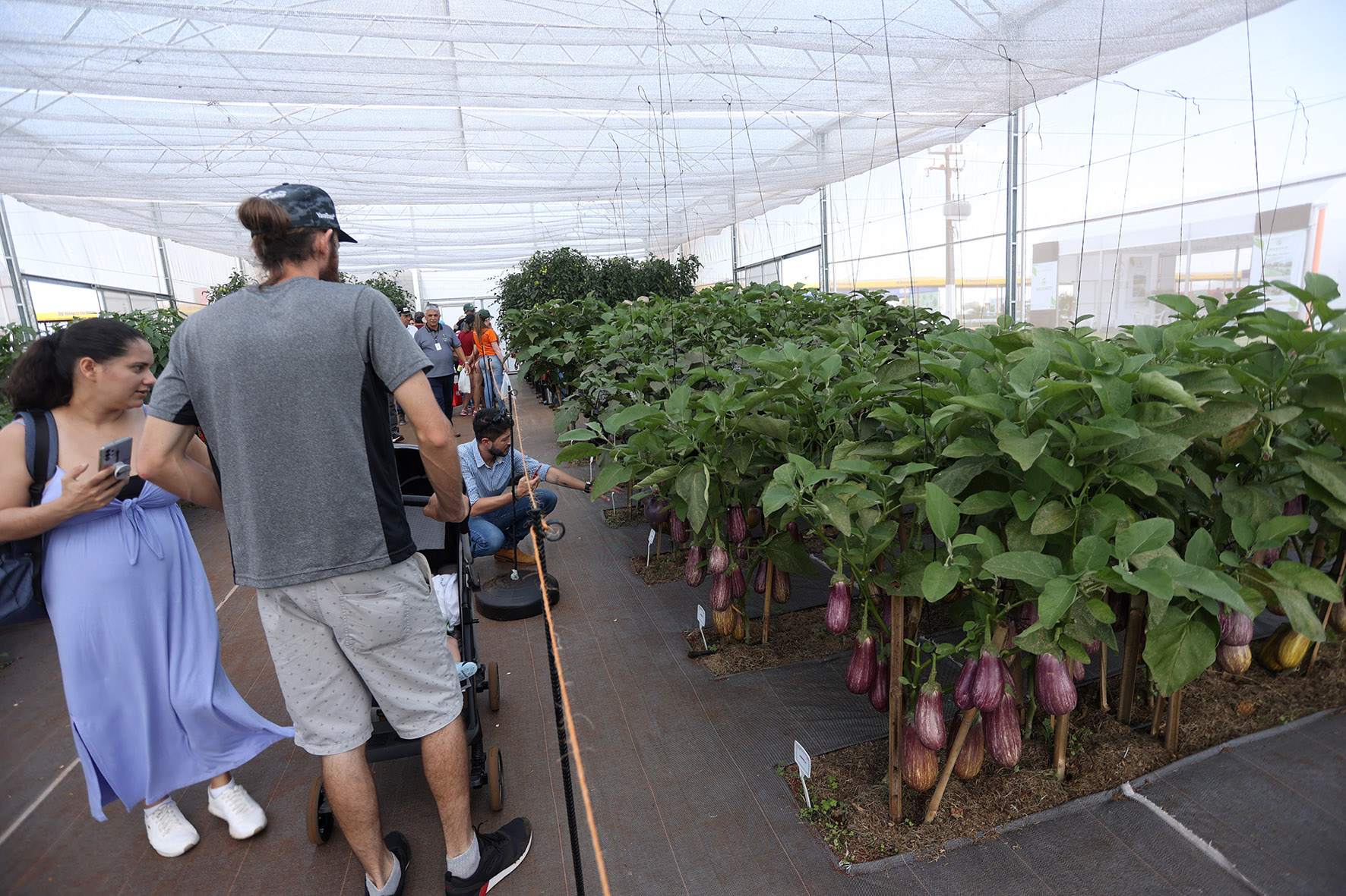 IDR-Paraná supera 200 mil atendimentos no Show Rural e fica ainda mais perto do produtor