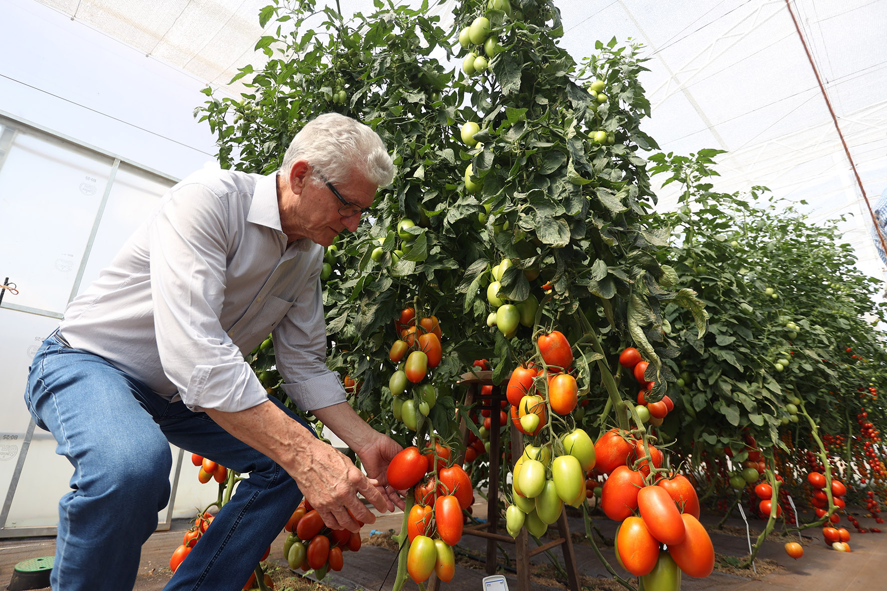 IDR-Paraná supera 200 mil atendimentos no Show Rural e fica ainda mais perto do produtor