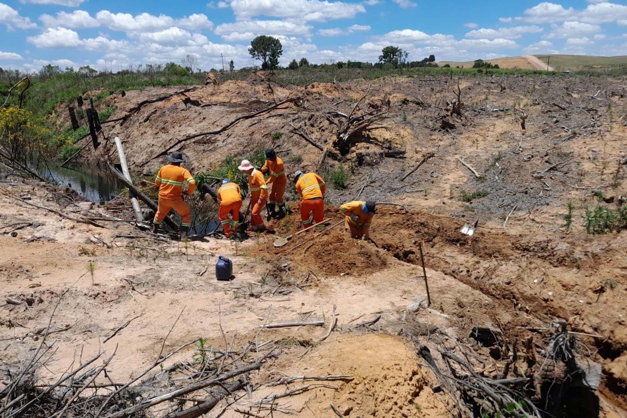 DER/PR recupera rapidamente quedas de barreiras em rodovia nos Campos Gerais