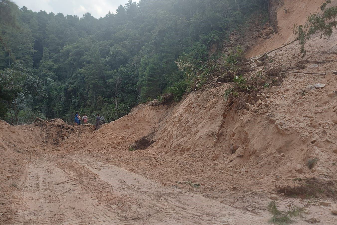 PR-092 Km 137 Doutor Ulysses - queda de barreira dia 2