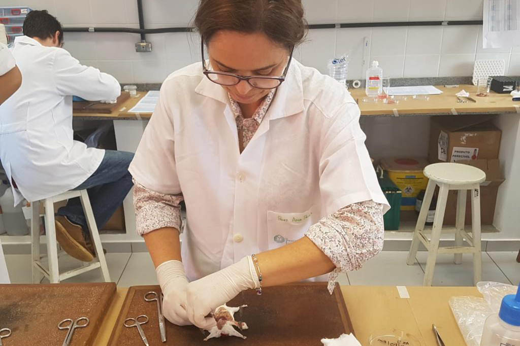 Mulheres são maioria nas universidades estaduais do Paraná