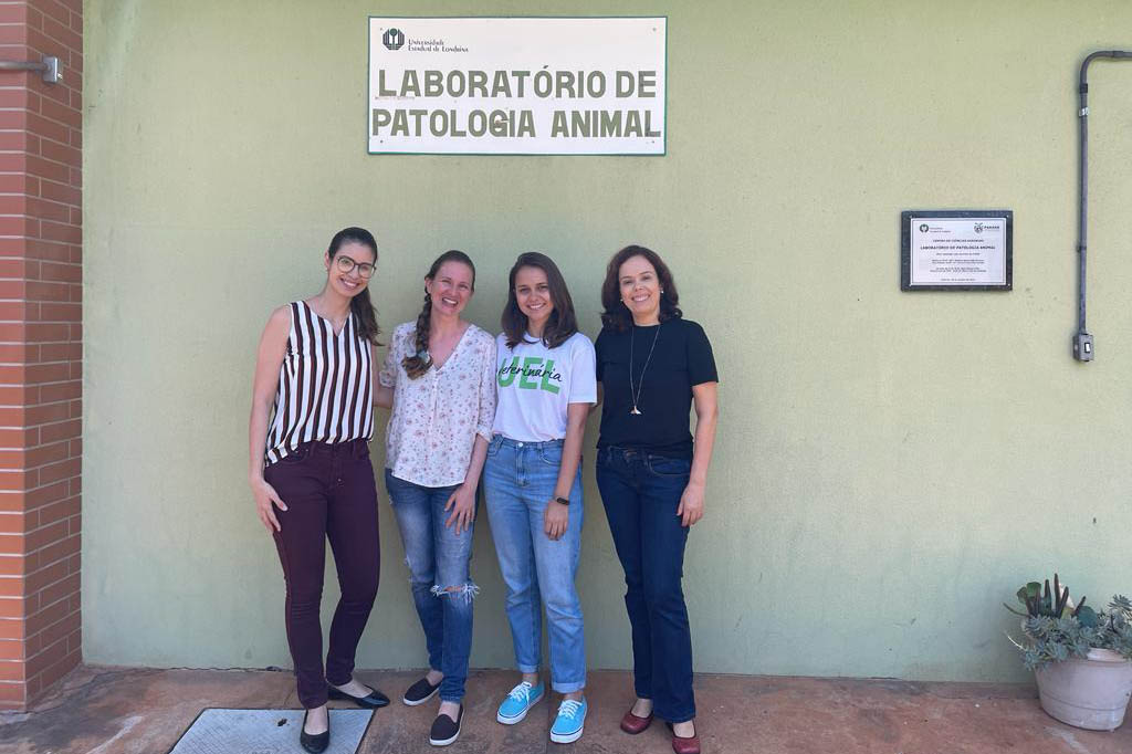 Mulheres são maioria nas universidades estaduais do Paraná