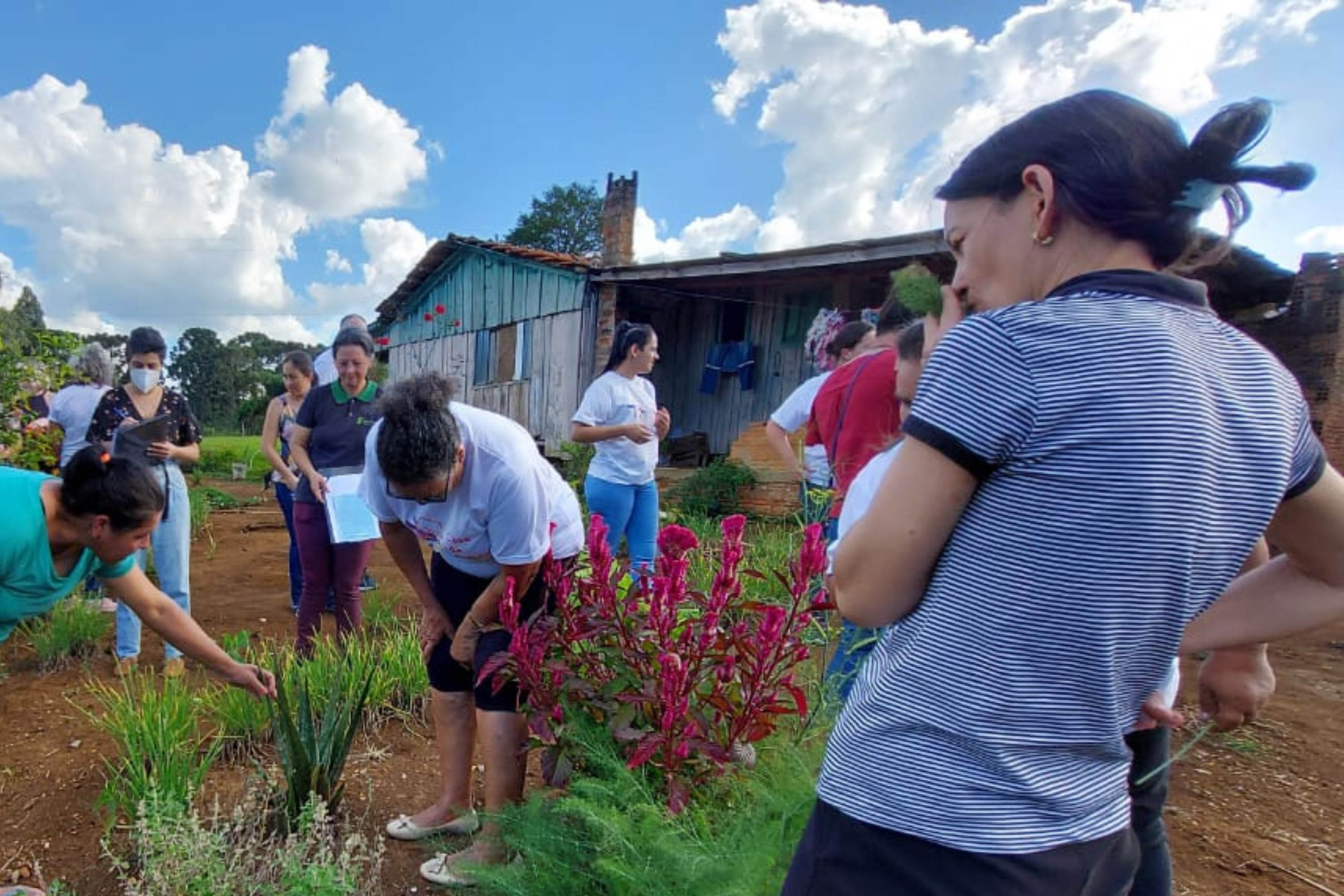 Projeto da Unicentro incentiva autonomia de agricultoras por meio do uso  de plantas medicinais