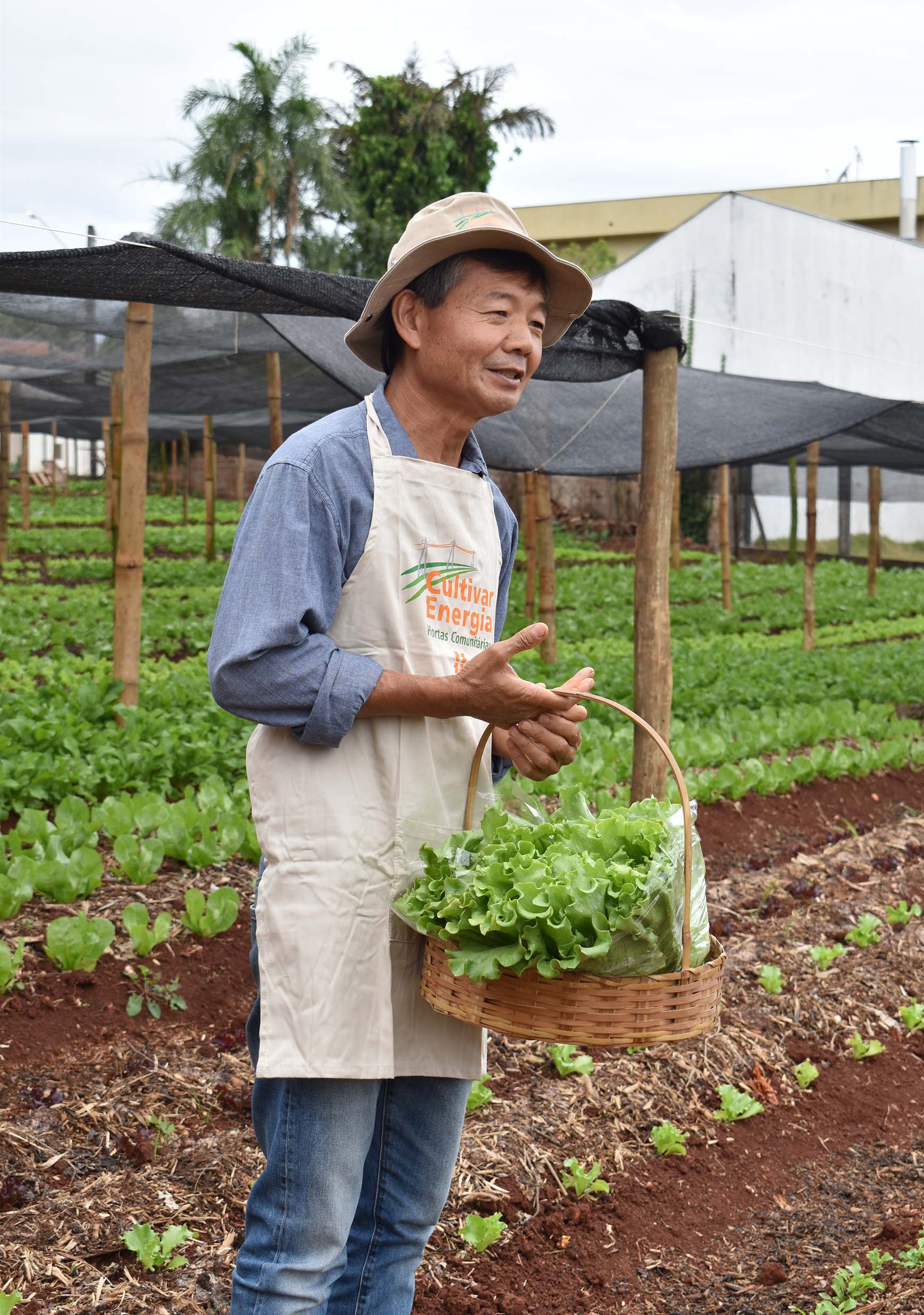 Programa Cultivar Energia inaugura primeira horta em Londrina