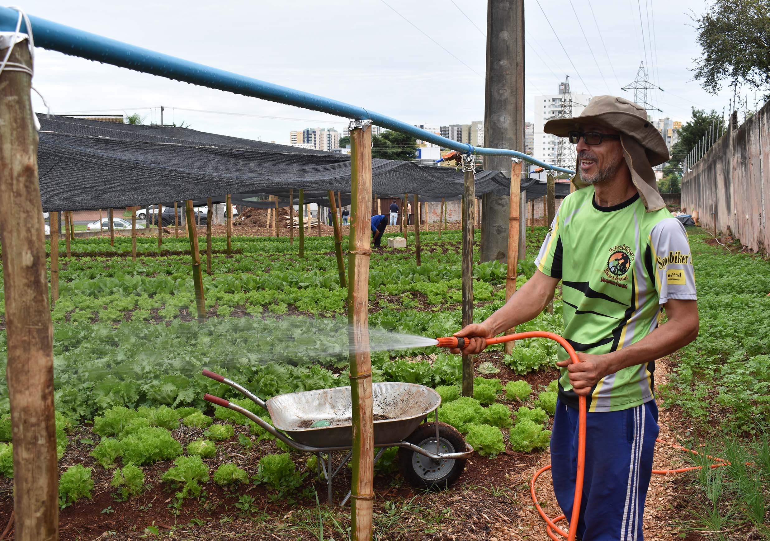 Programa Cultivar Energia inaugura primeira horta em Londrina