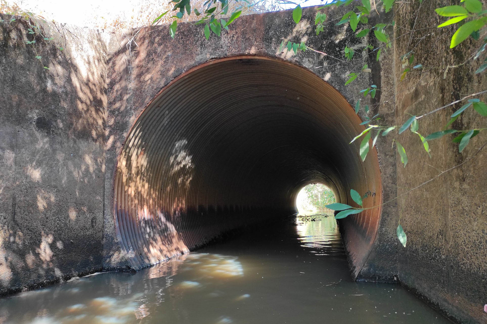 Reforma pontes Norte Pioneiro