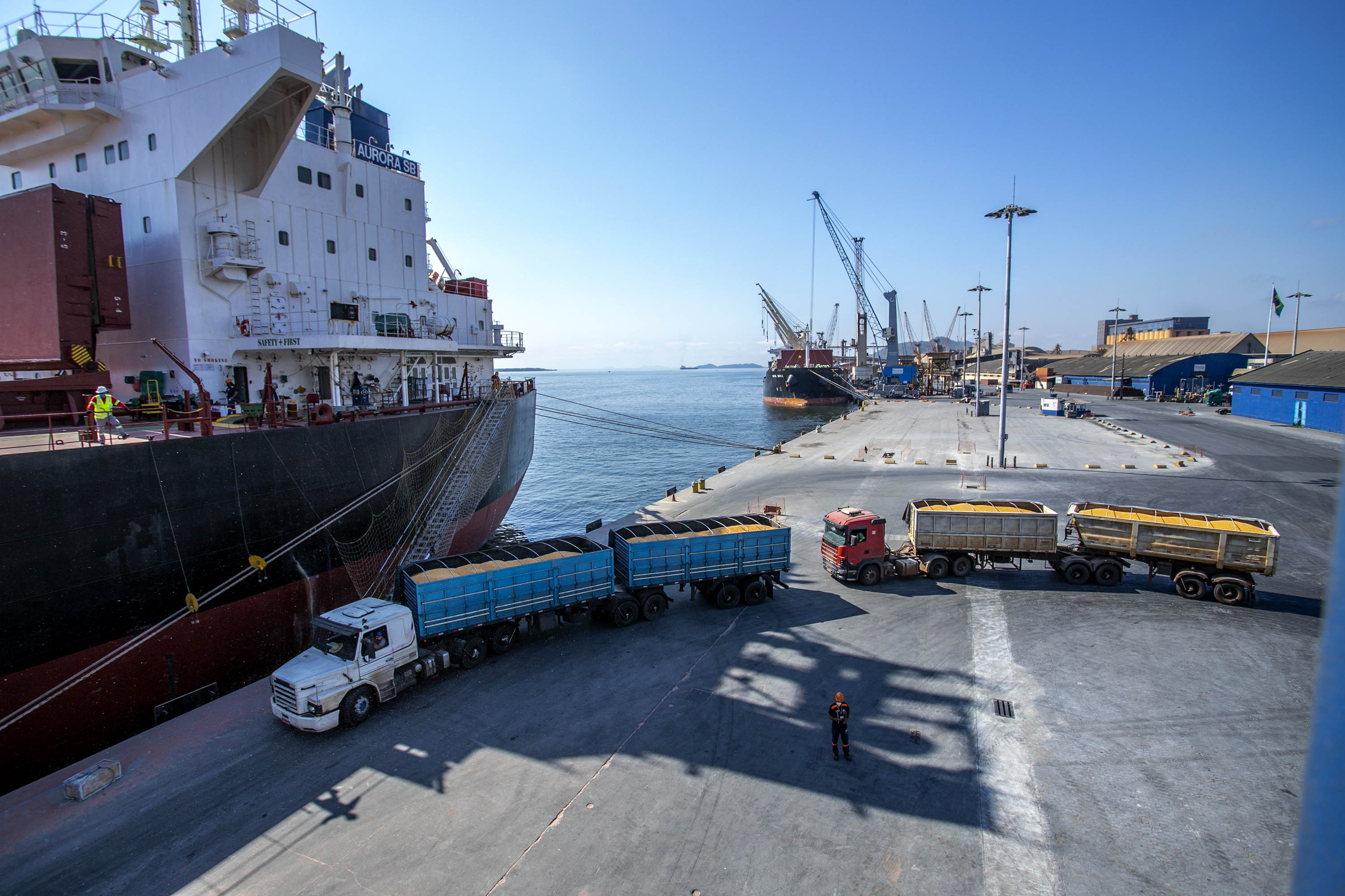 Paraná registra o maior crescimento do Brasil nas exportações no 1º trimestre de 2023
