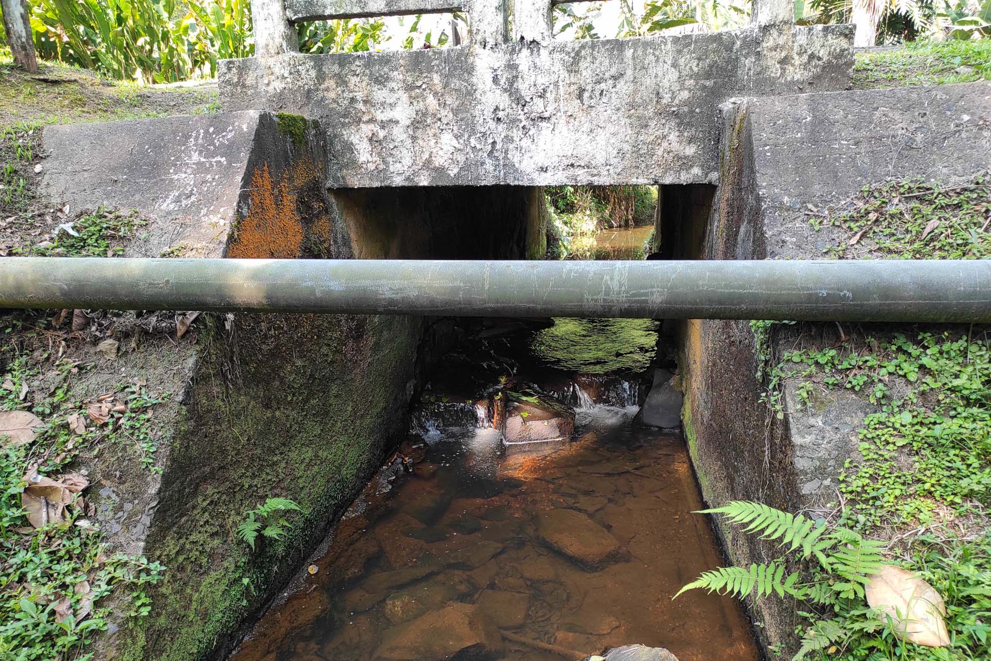 DER 100 dias - Litoral