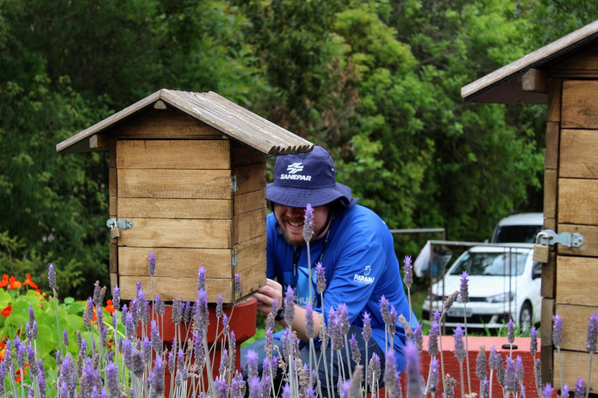 Sanepar amplia ações de preservação de abelhas nativas na Região Metropolitana de Curitiba