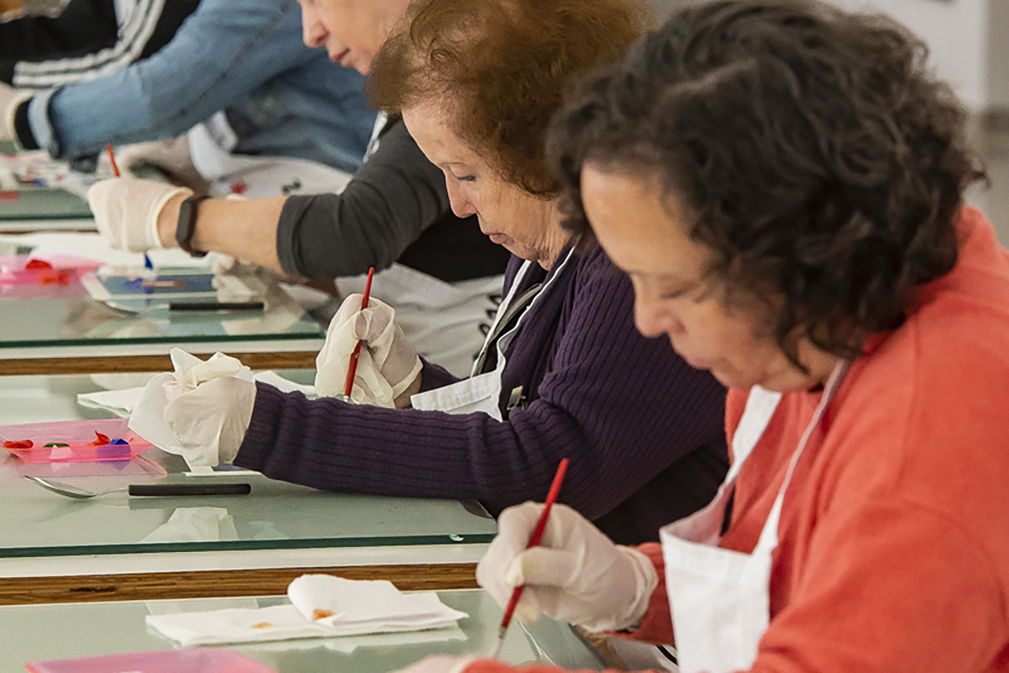Público com mais de 60 anos terá encontro especial no MON com a artista Leila Pugnaloni